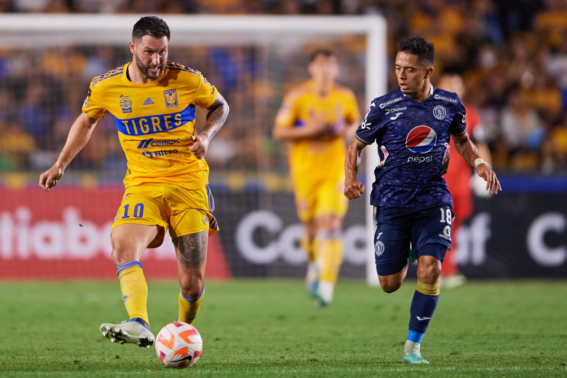 Liga MX 2023: Juego Tigres vs León: dónde ver y horario de Semifinales ...