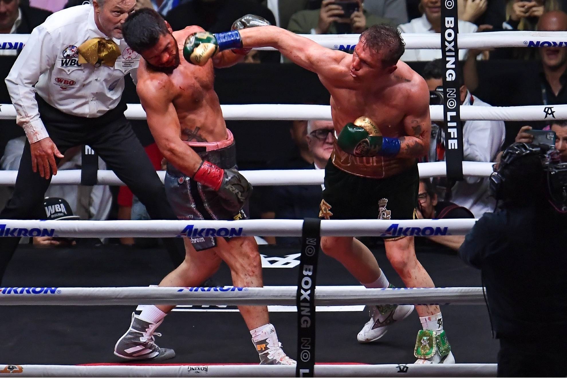 Canelo gan� por decisi�n un�nime a Ryder