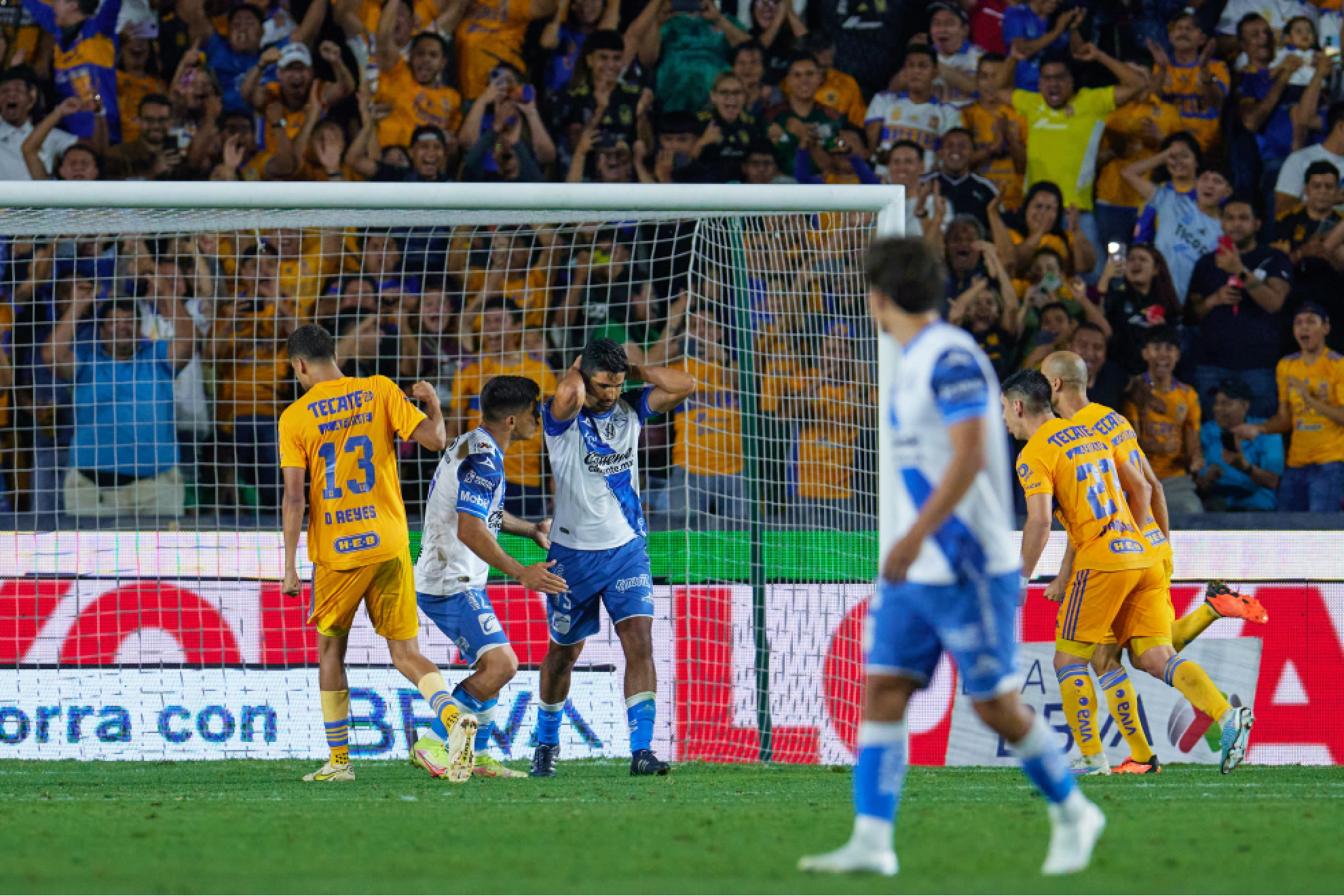 Liga MX 2023: Transmisión Tigres vs Puebla: dónde ver y a qué hora es ...