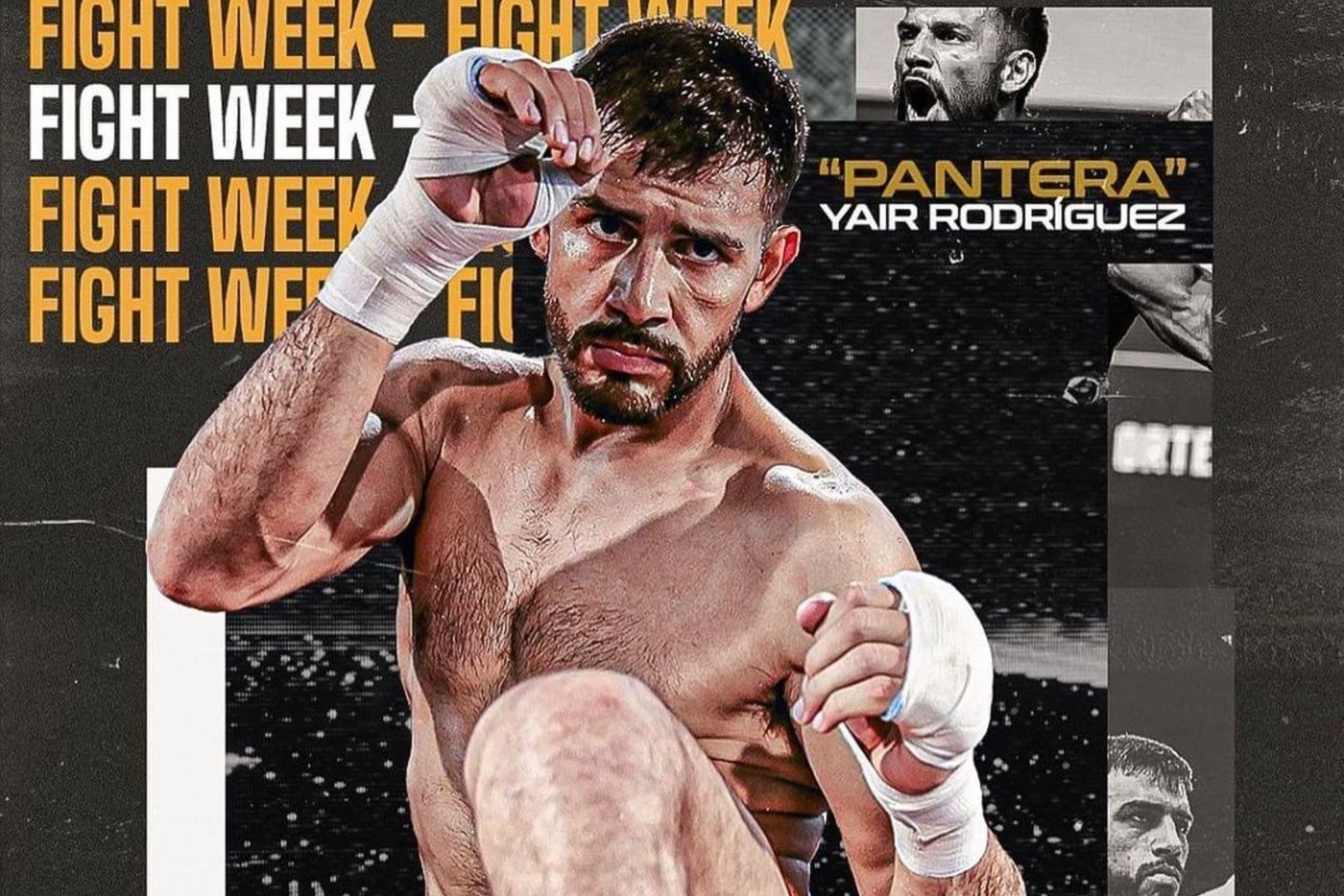 Pantera Rodr�guez vs Alexander Volkanovski: el impactante v�deo promocional de UFC 290