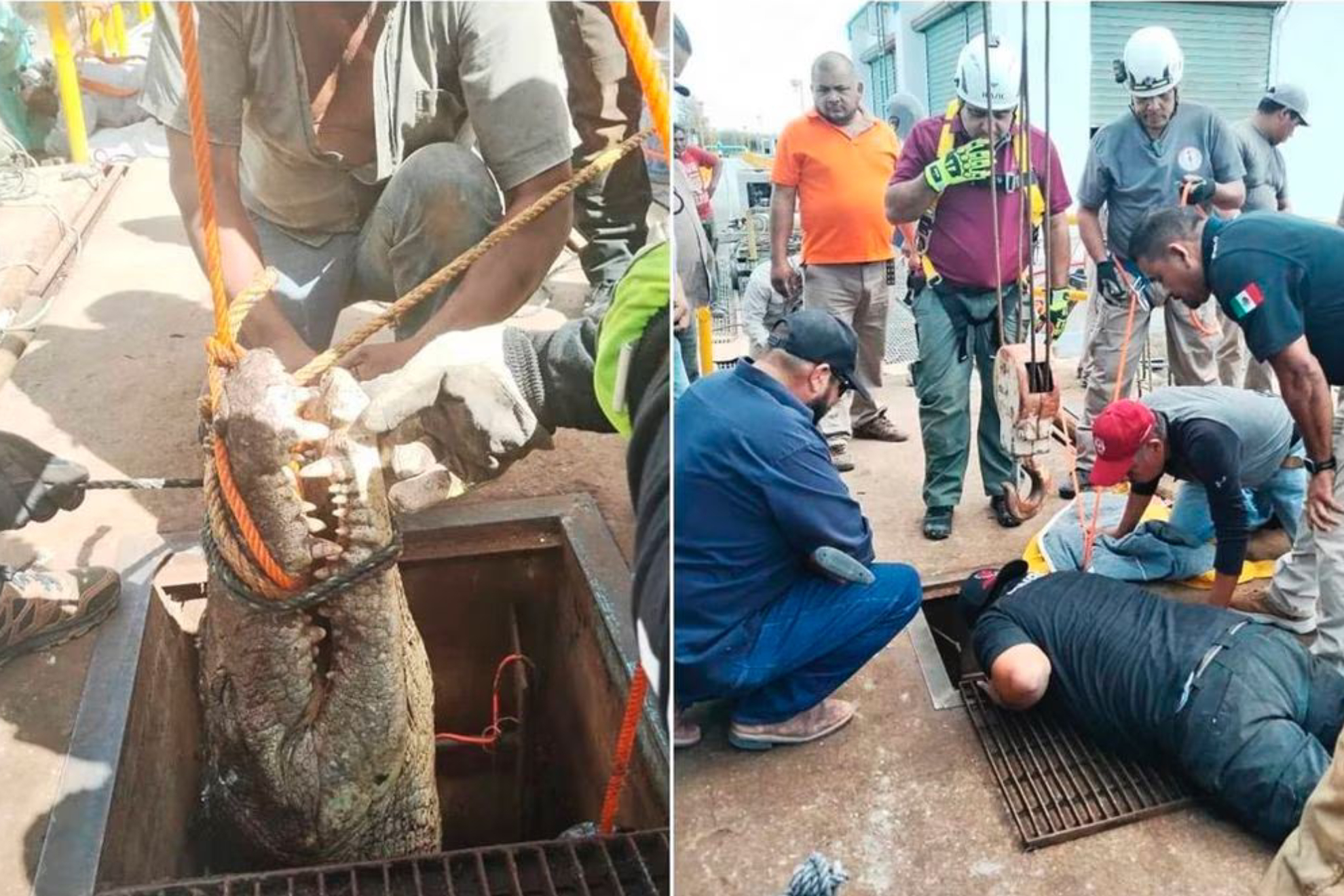 Los hechos se registraron durante labores de mantenimiento a un acueducto