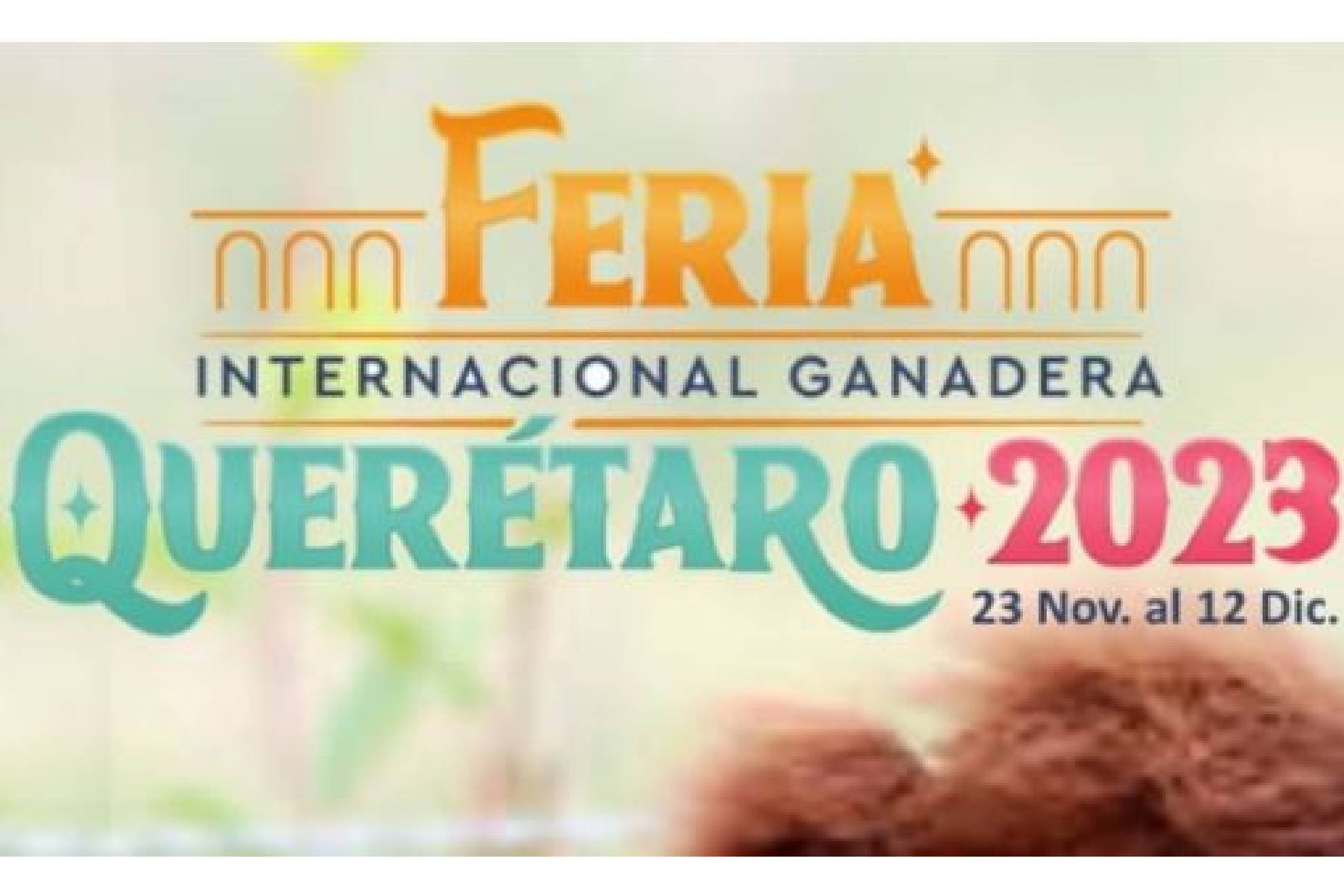 Diversi�n de fin de a�o para compartir con las personas cercanas