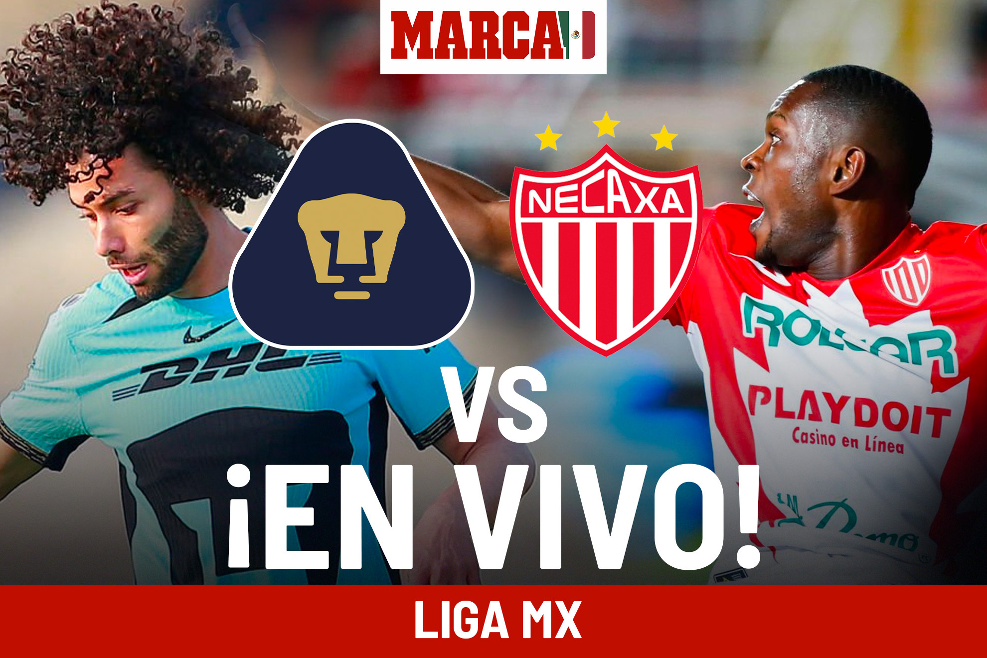 Pumas vs Necaxa EN VIVO Online. Partido de Liga MX hoy