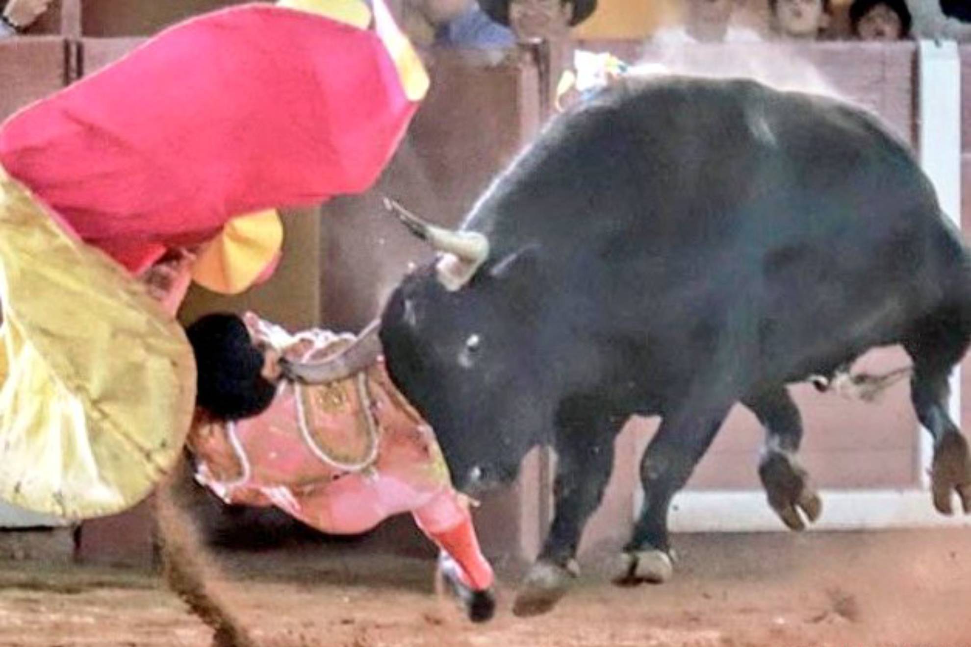 Toros: Alberto Ortega se reporta grave tras cornada en el cuello en Tlaxcala