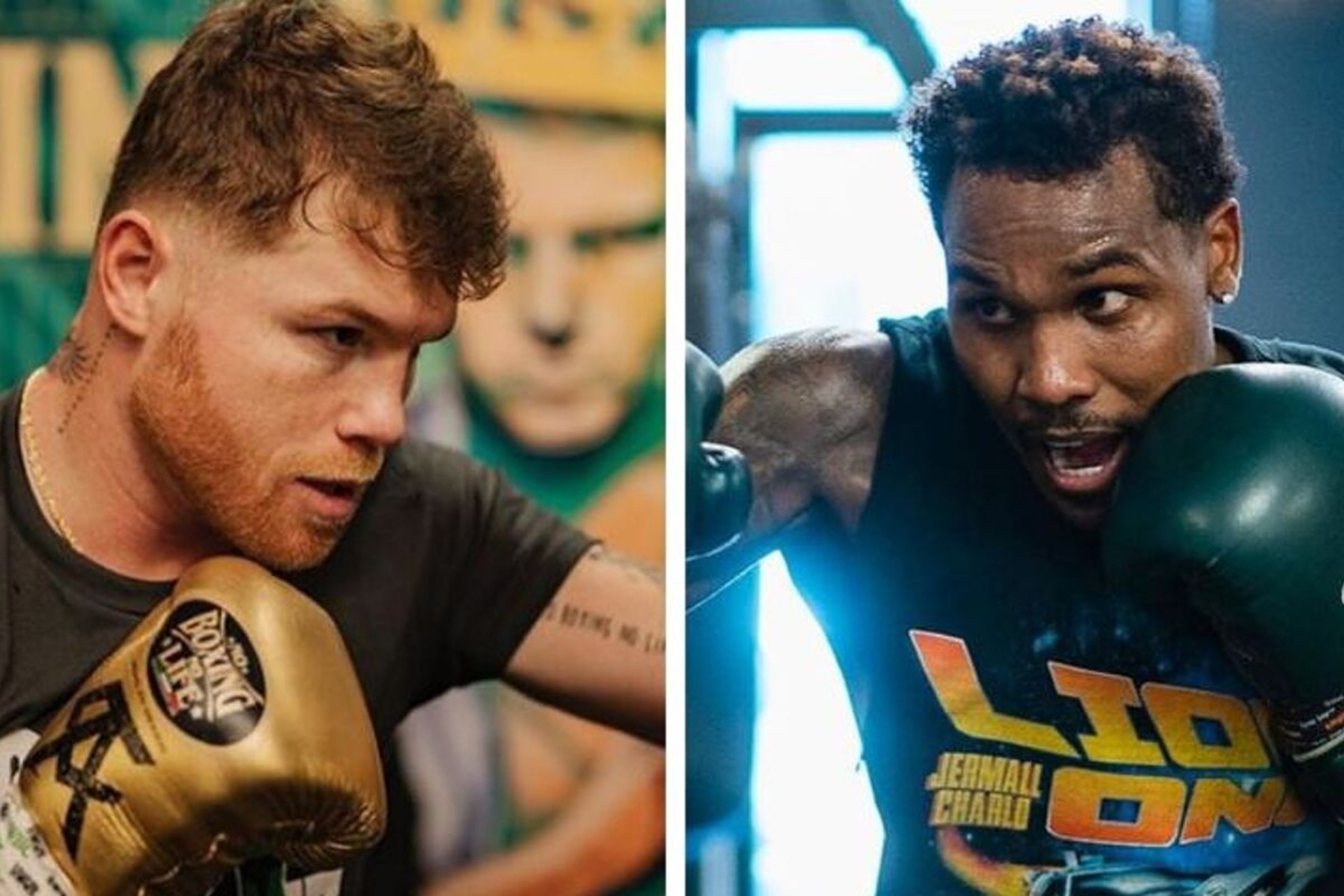 Canelo �lvarez y Jermall Charlo