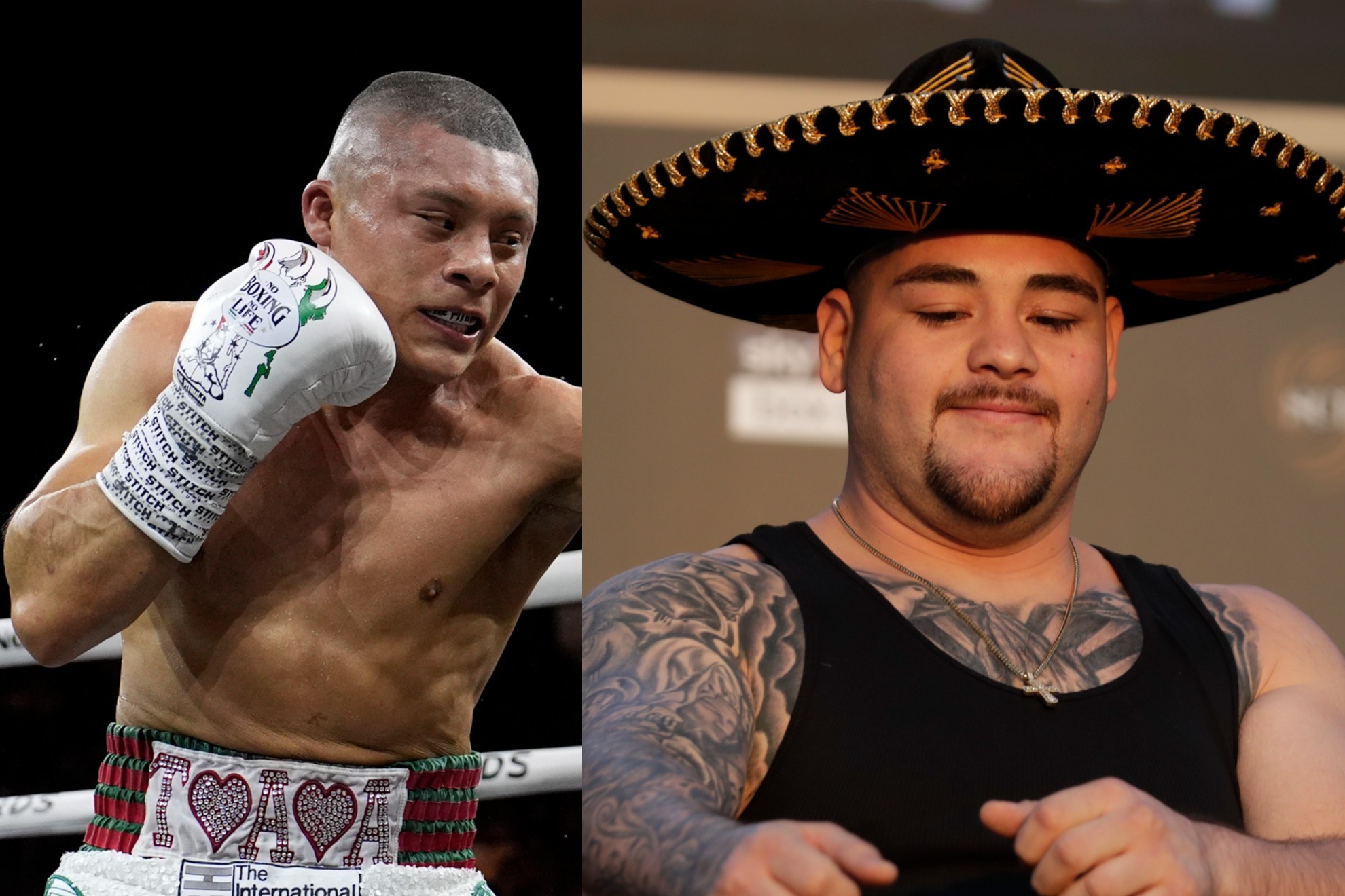 Pitbull Cruz y Andy Ruiz estar�n en la misma funci�n de box 2024
