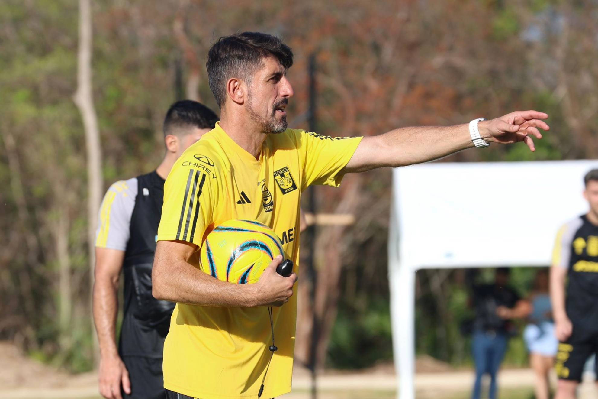 Veljko Paunovic Tigres UANL Liga MX
