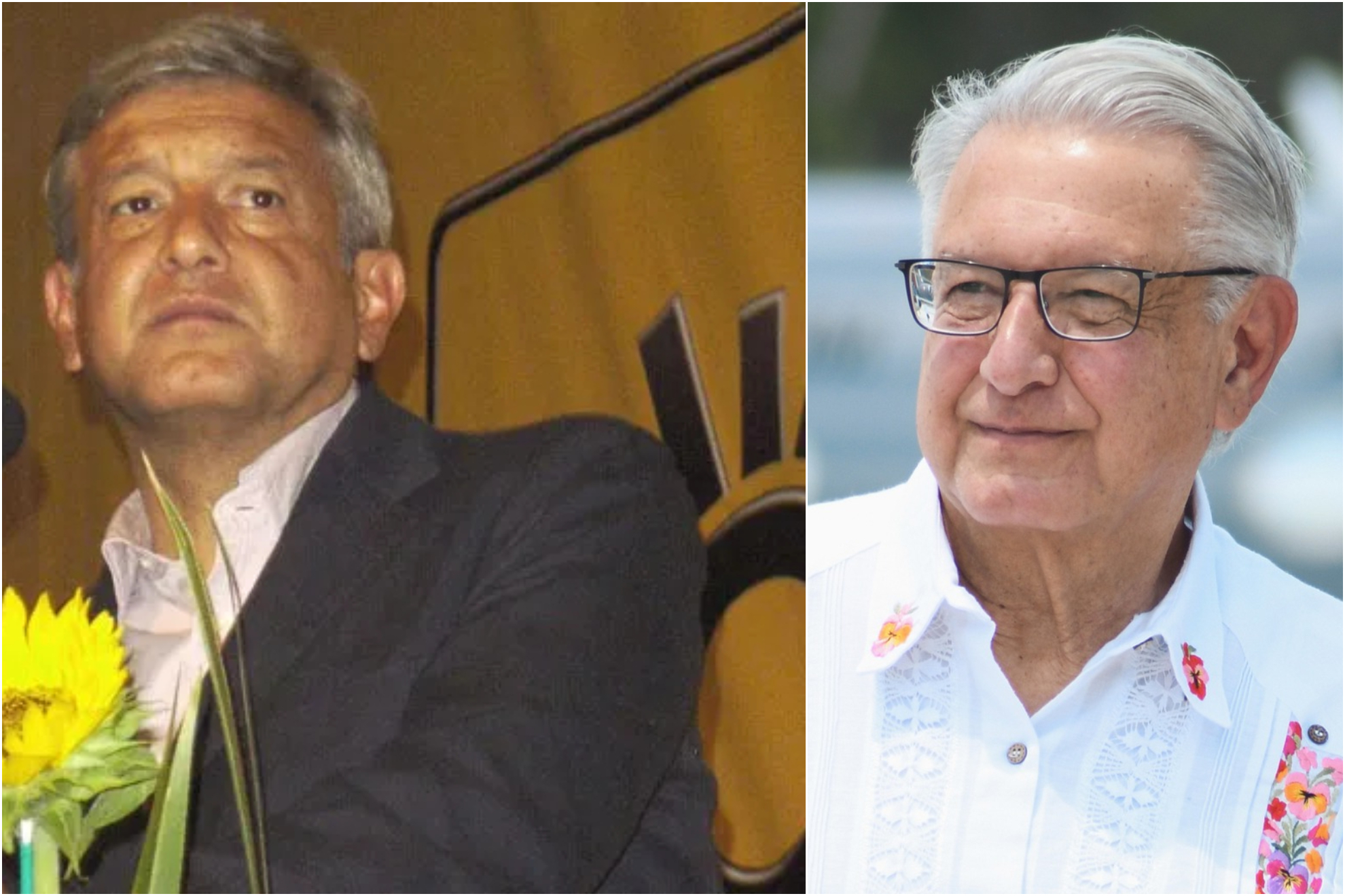 Obrado se desempe�� como Presidente Nacional del PRD de 1996 a 1999.