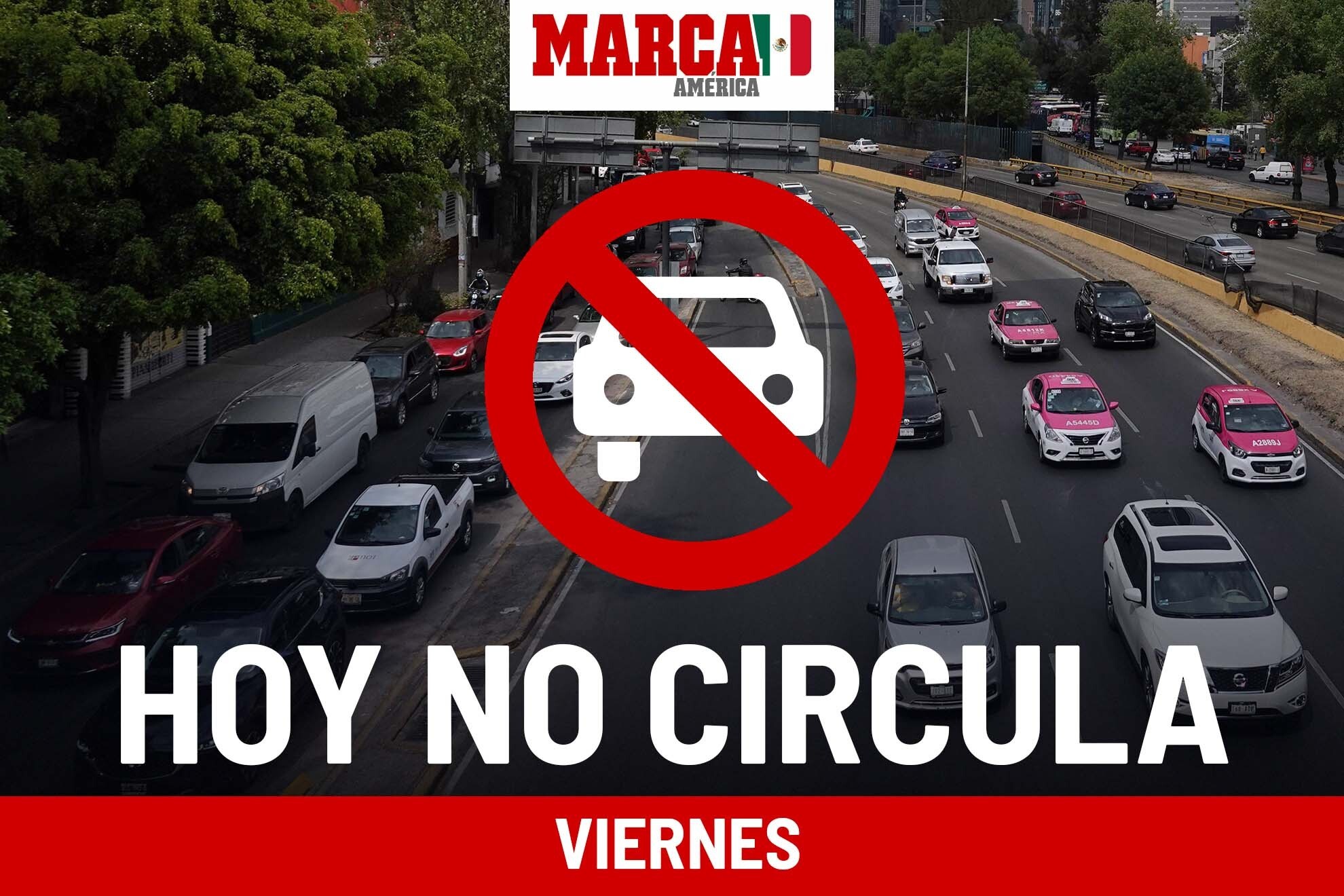 Qu� carros no circulan Viernes 24 de enero de 2025