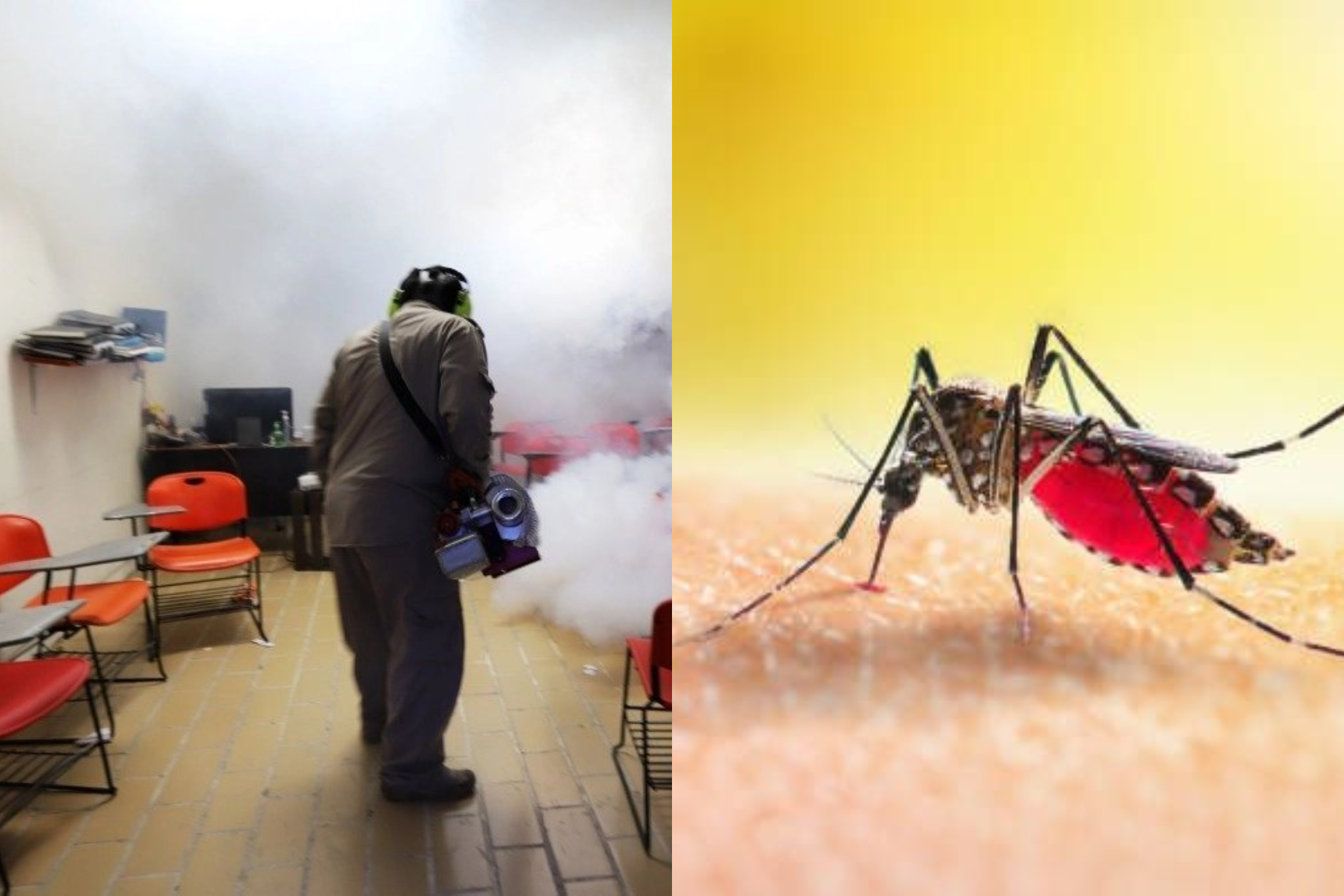 Aumentan medidas contra el dengue en Tamaulipas