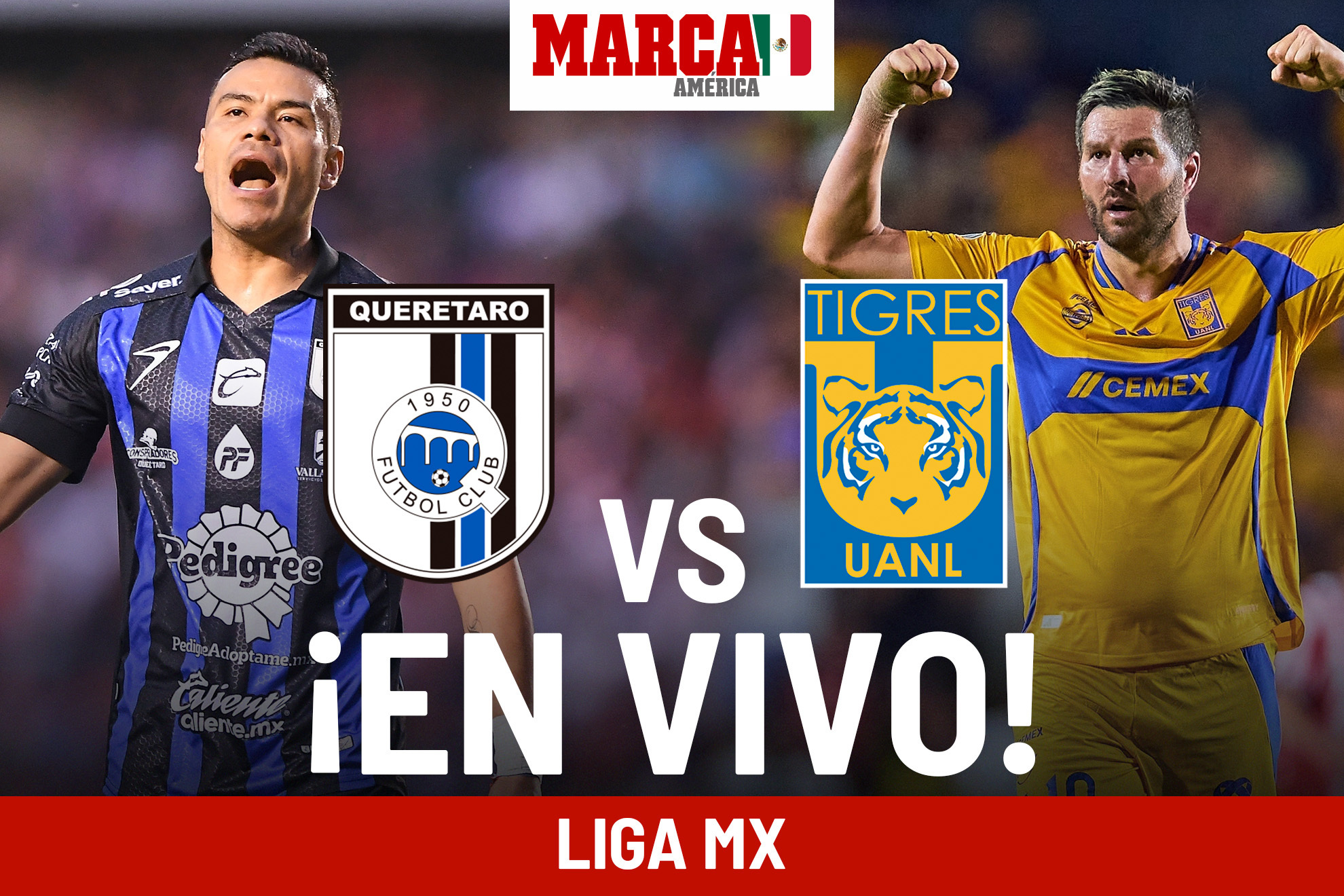 �Cu�nto qued� Quer�taro vs Tigres? Juego de hoy de Liga MX 2024