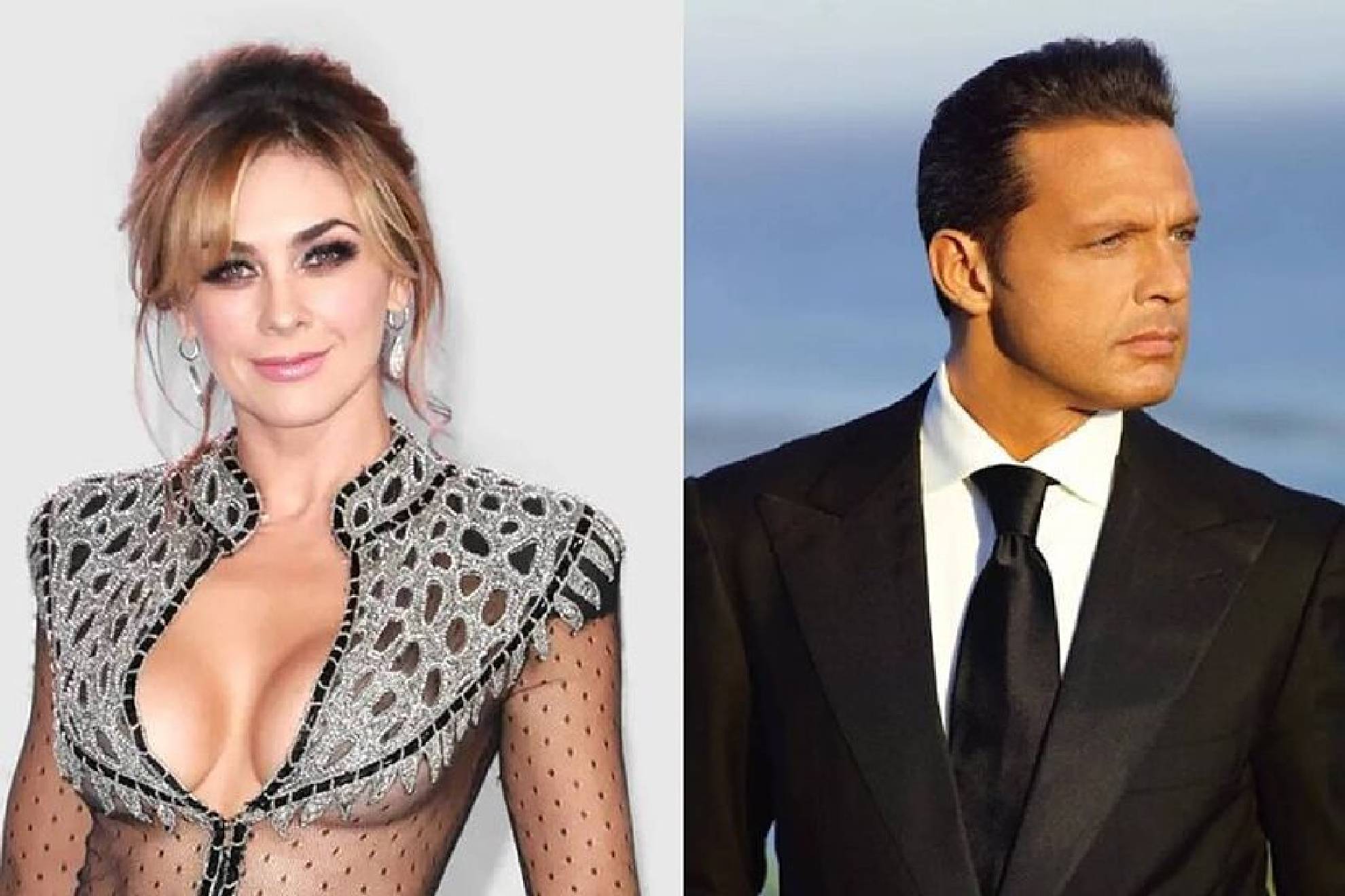 Aracely Ar�mbula revela reencuentro de Luis Miguel con sus hijos.