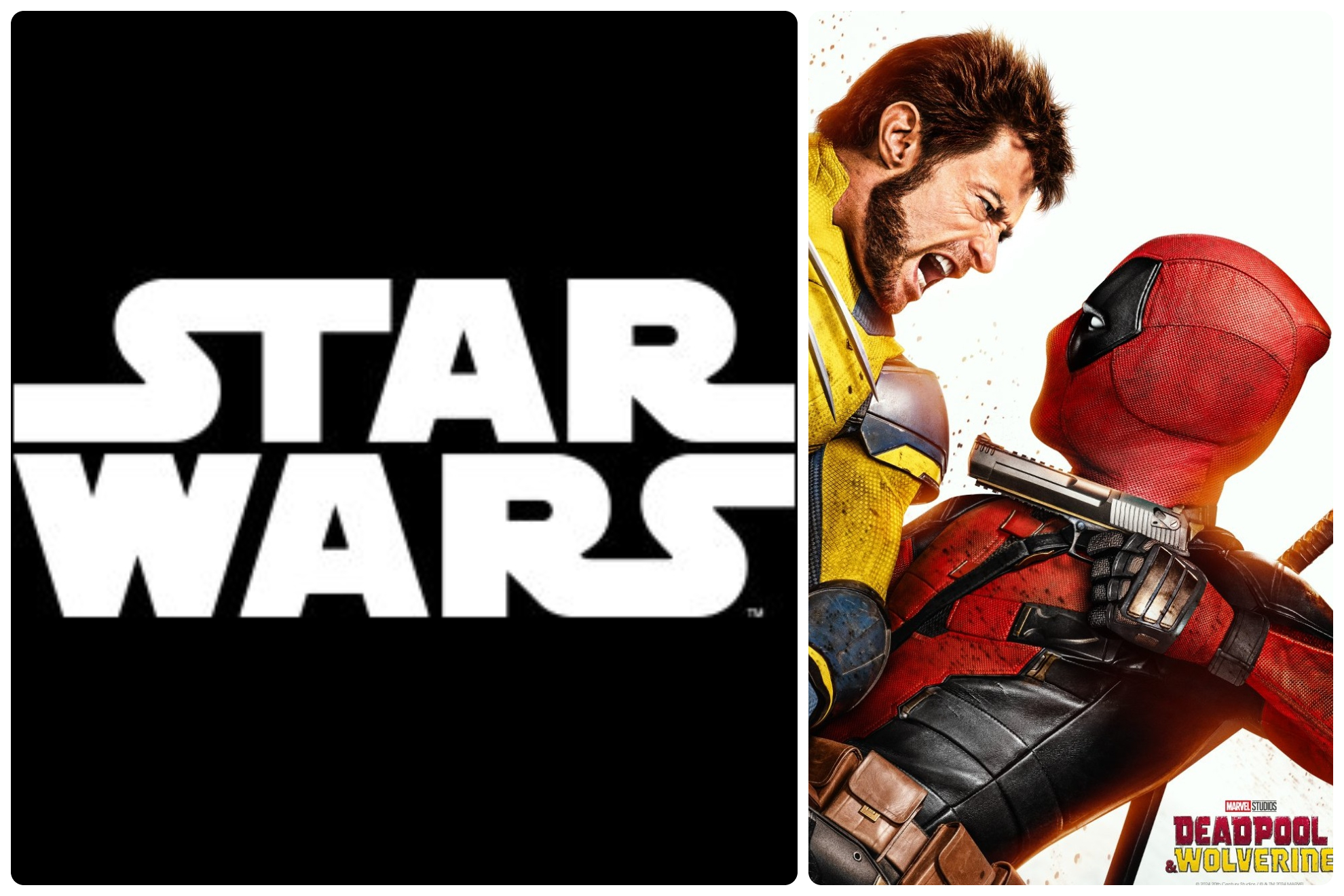 Star Wars no estrena pel�culas desde 2019.