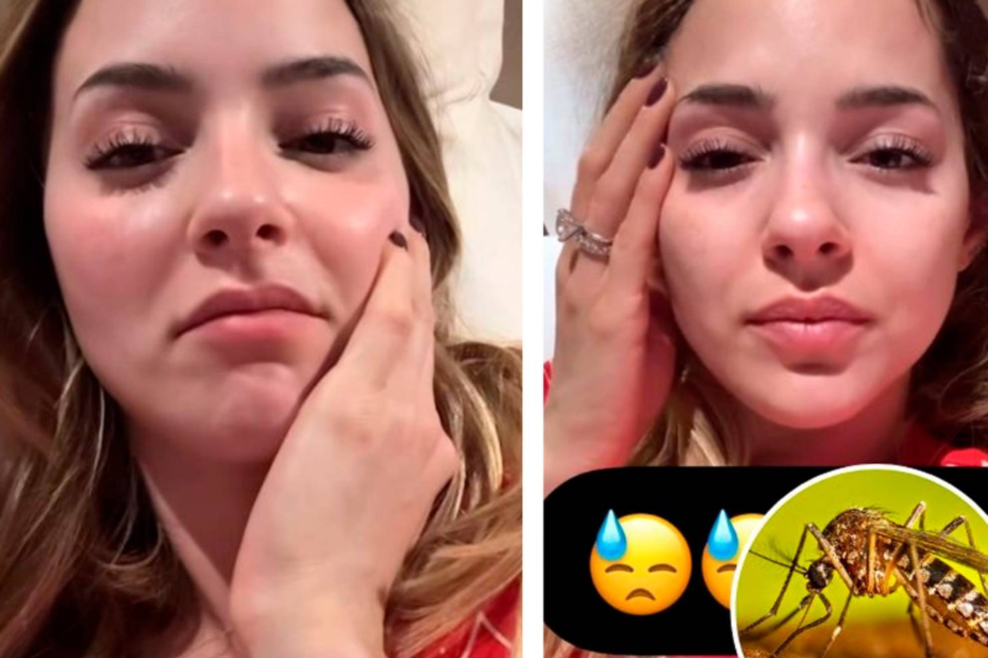 Mariana Rodr�guez Cant�.