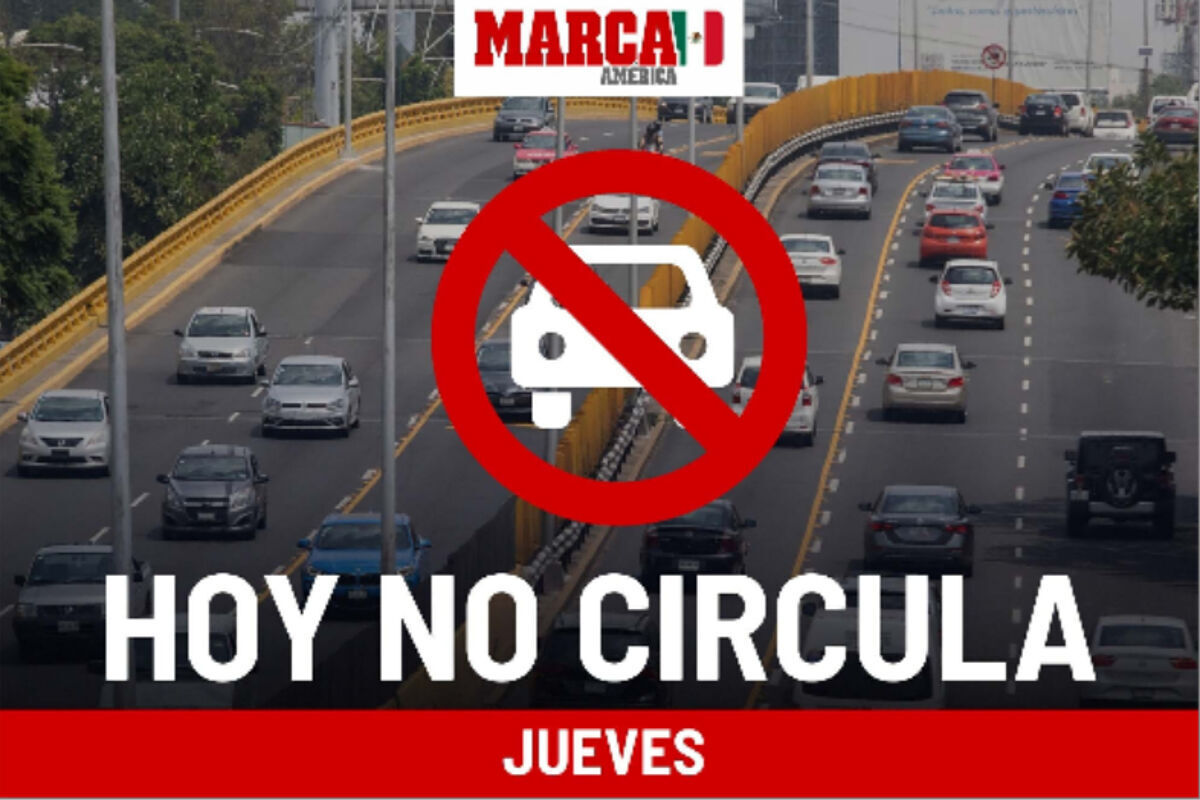 Qu� carros no circula en CDMX y EDOMEX