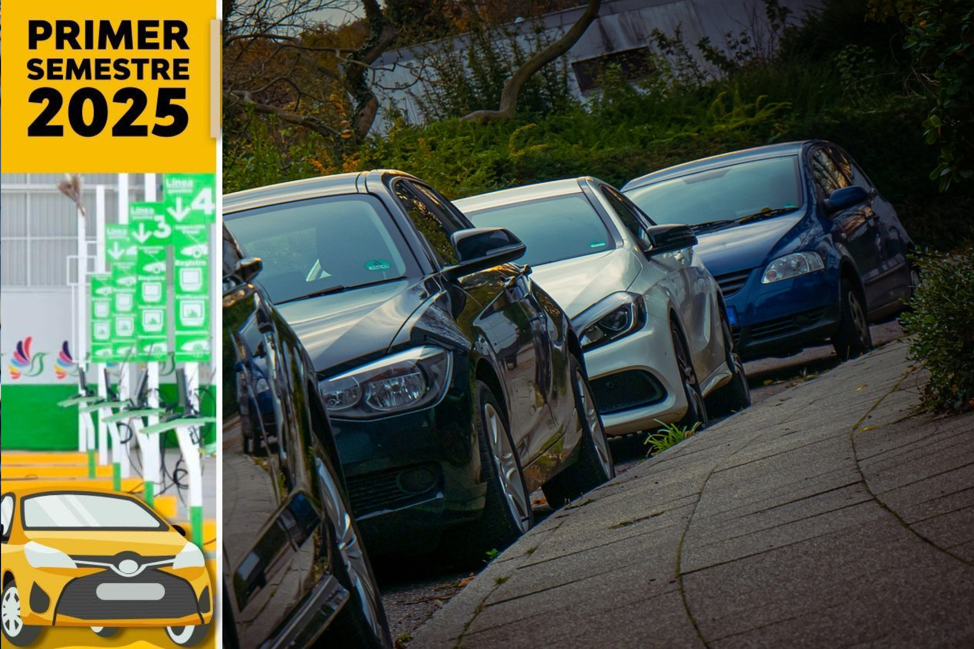 VERIFICACI�N Vehicular 2025 en EDOMEX