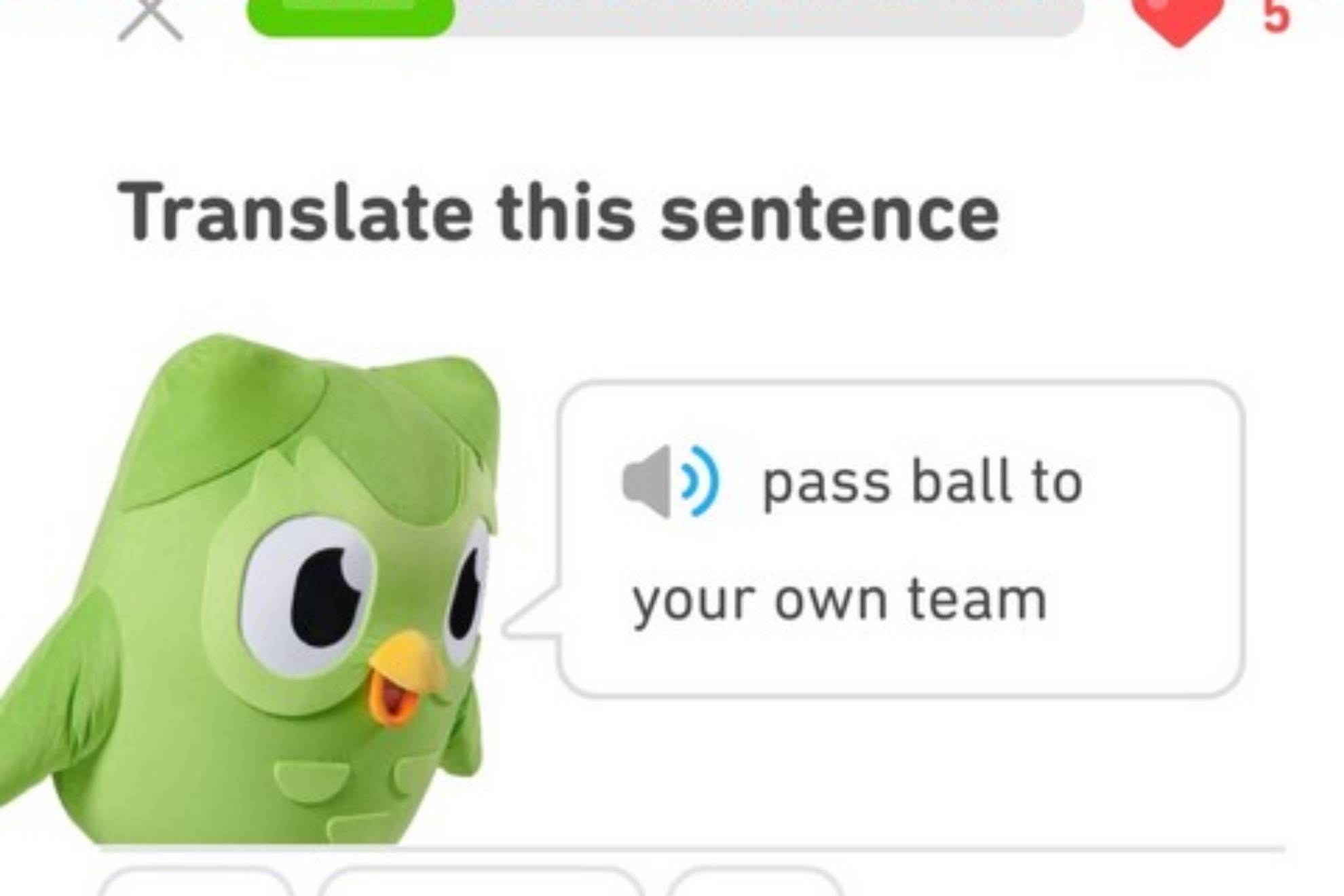 El B�ho de Duolingo es internacionalmente famoso