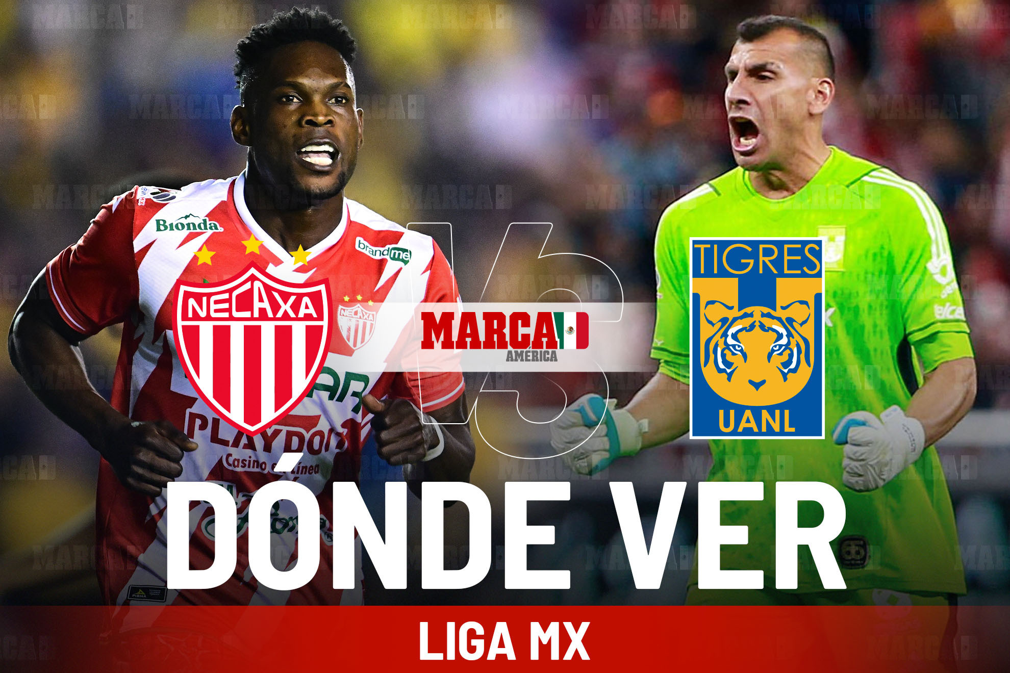D�nde ver Liga MX EN VIVO