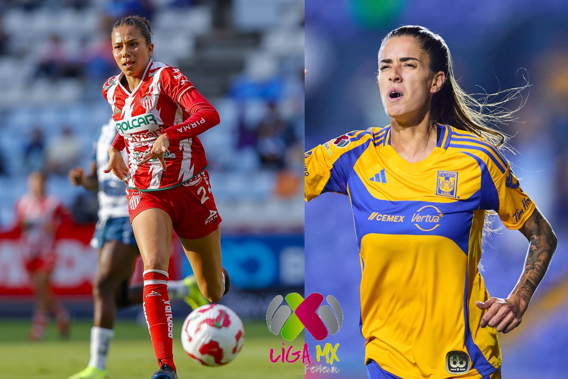 D�nde ver Jornada 11 EN VIVO