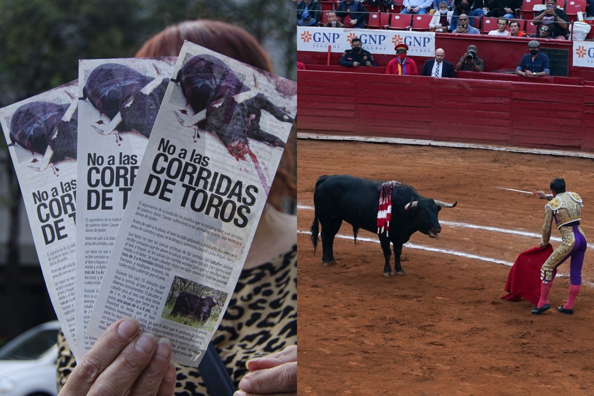 Poder Judicial quita freno a iniciativa para prohibir las Corridas de toros en CDMX