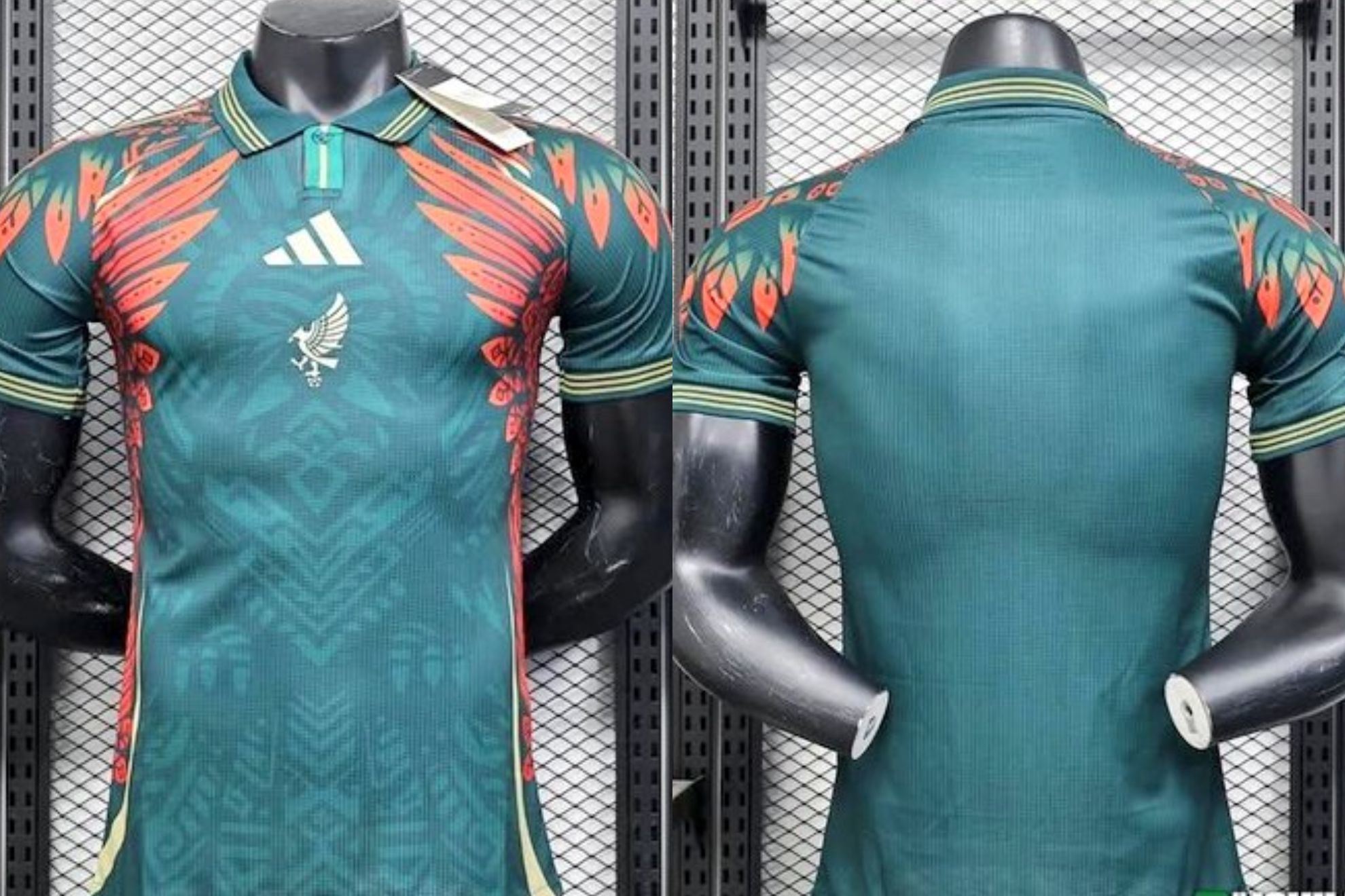 Selecci�n Mexicana 2026