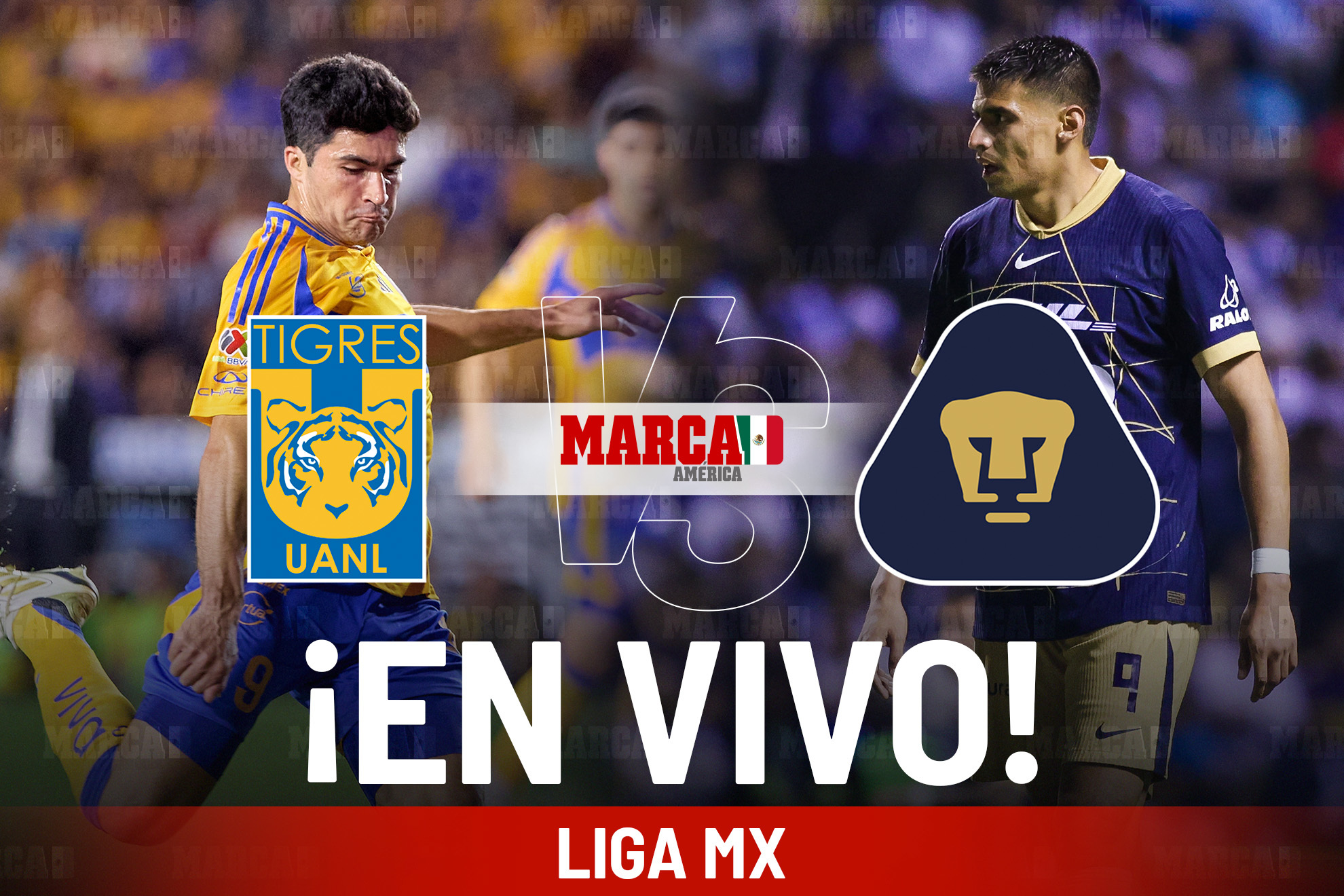 ¿Cómo quedó Tigres vs Pumas? Resultados y cronología partido Liga MX 2025