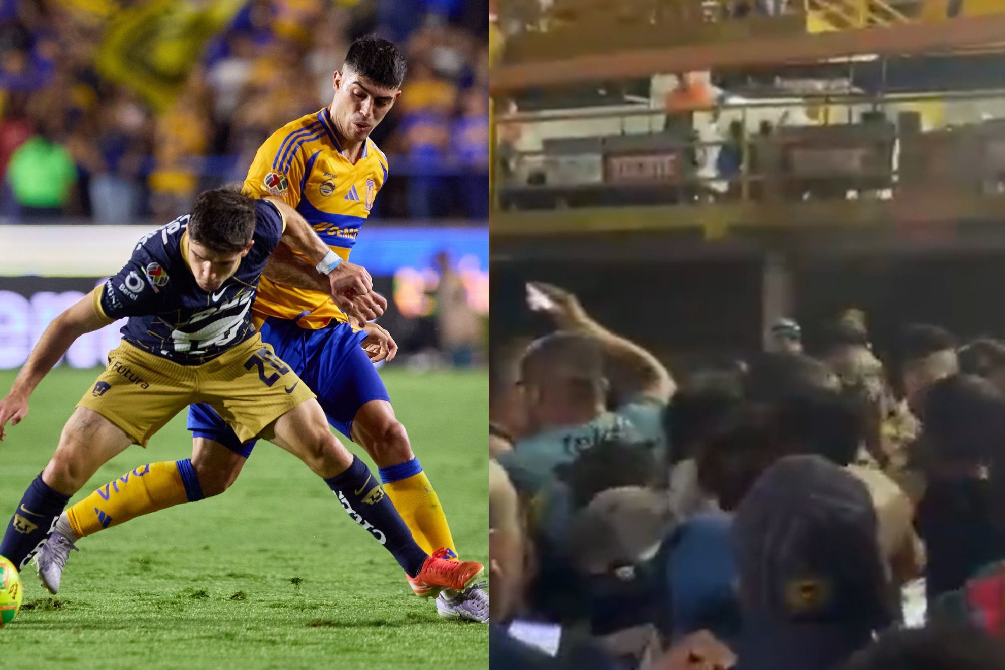 Estampida de fan�ticos en Estadio Universitario en Jornada 17