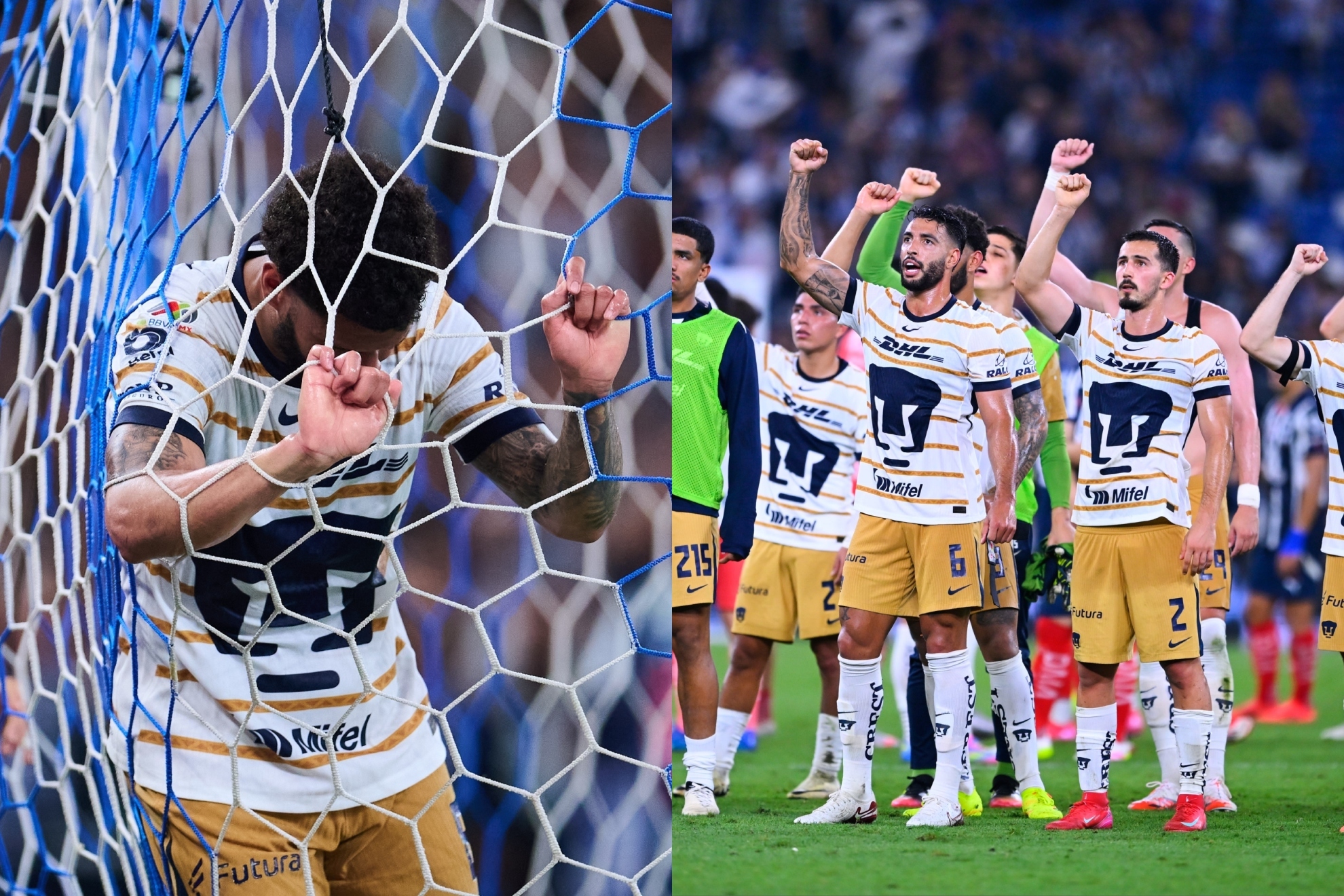 Pumas