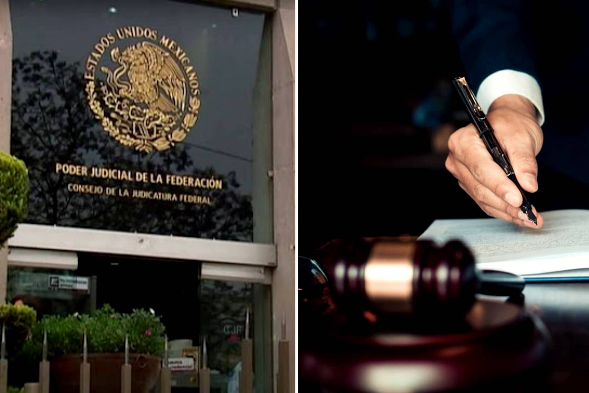 Cada cargo desempe�a un papel importante en la husticia mexicana