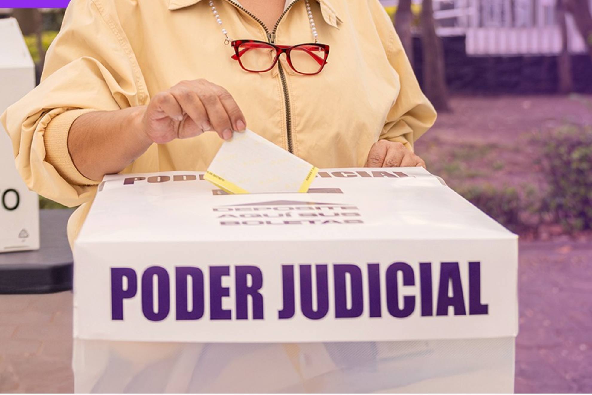 Se espera poca participaci�n en las elecciones del Poder Judicial
