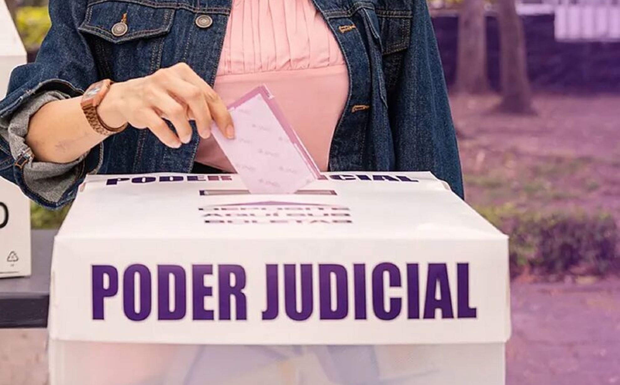 Se elegir�n 881 cargos por voto popular
