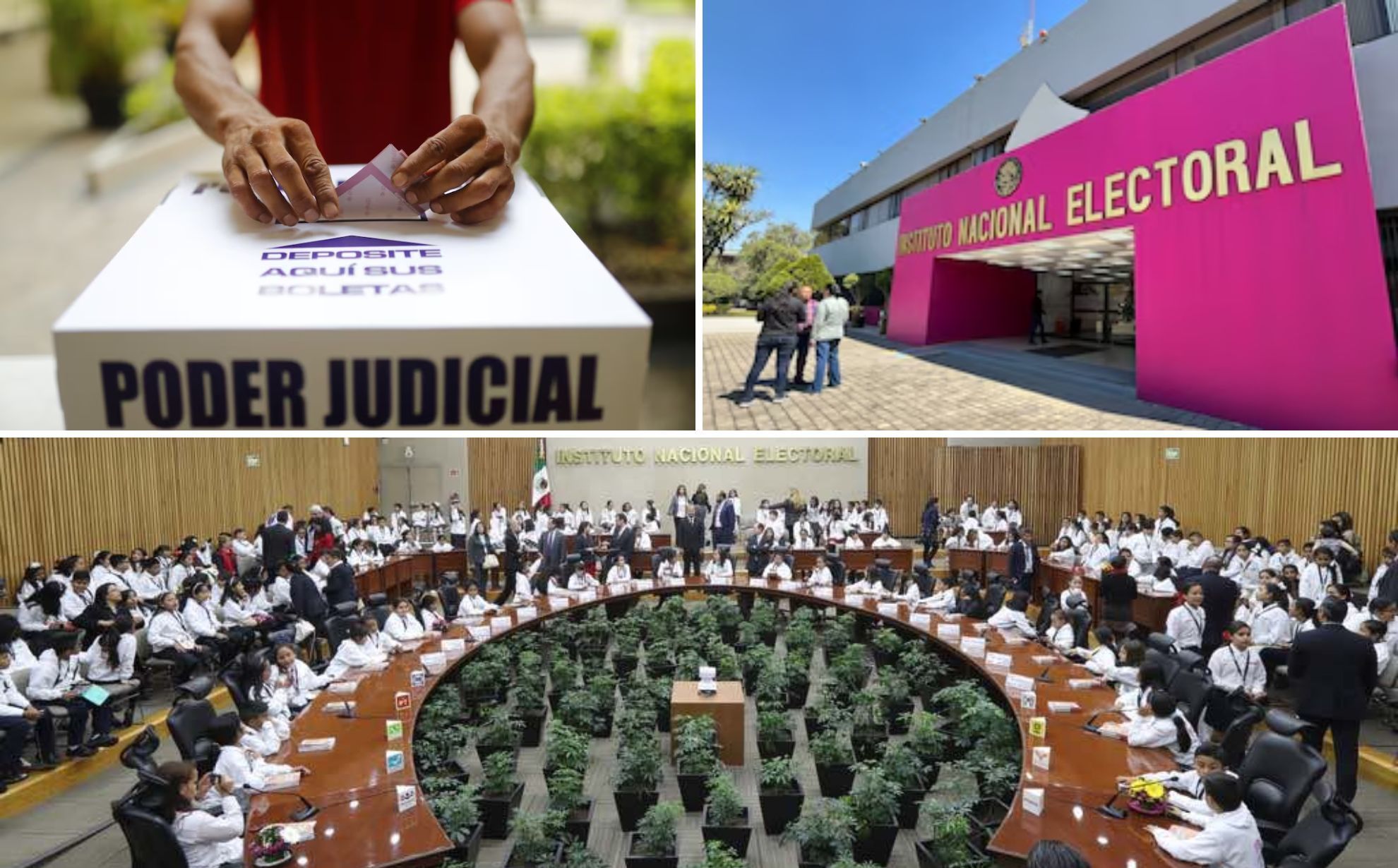 La fecha exacta de las resultados de las elecciones a�n no se ha confirmado