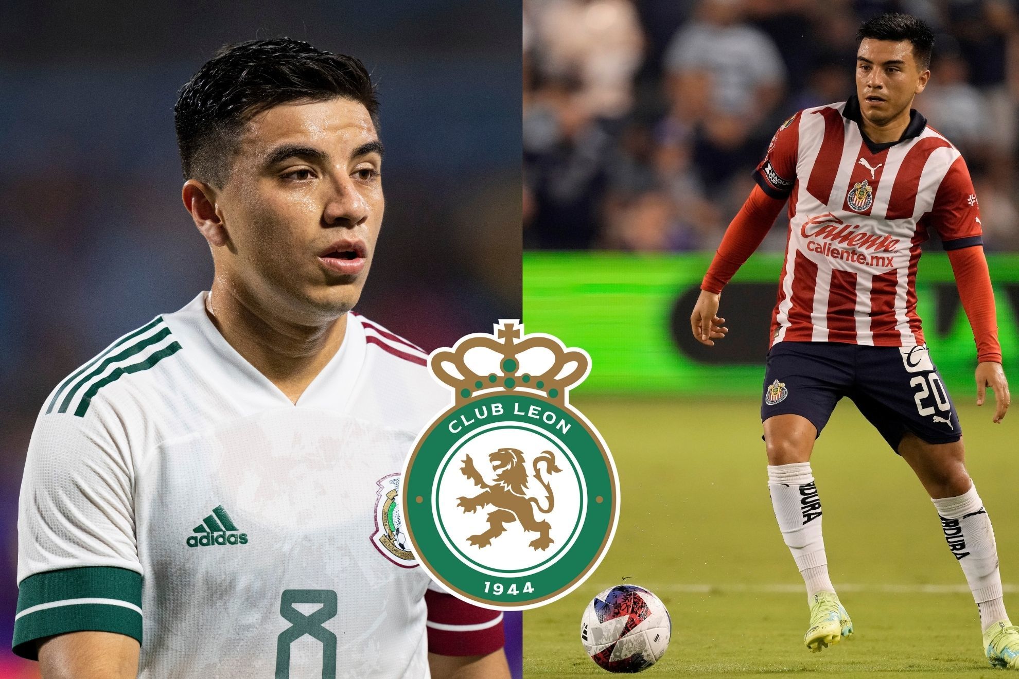 Le�n hace oficial el fichaje de Fernando Beltr�n