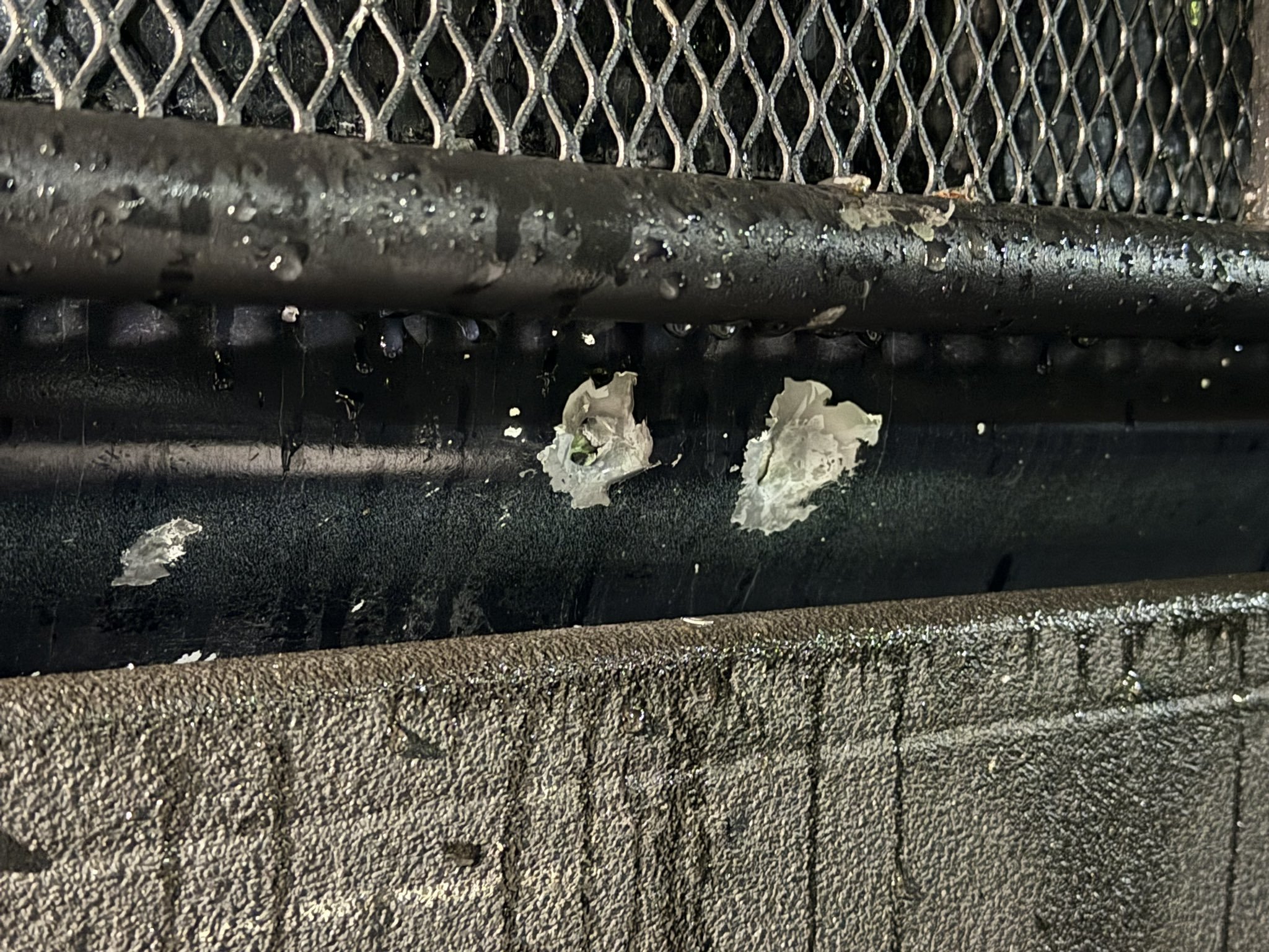 Unas de las imag�nes publicadas por la alcaldesa de Cuauht�moc