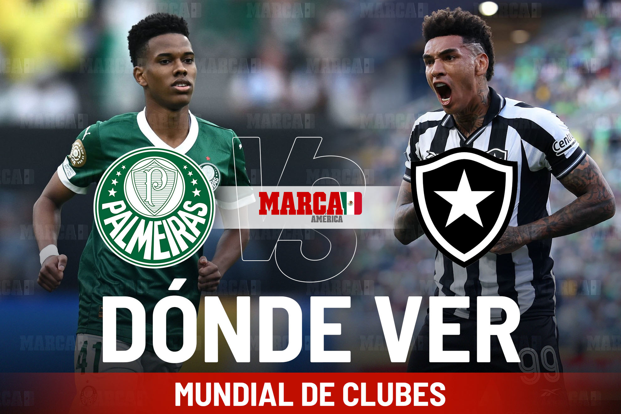 Palmeiras vs Botafogo en M�xico: d�nde ver, horario y pron�stico del Mundial de Clubes 2025