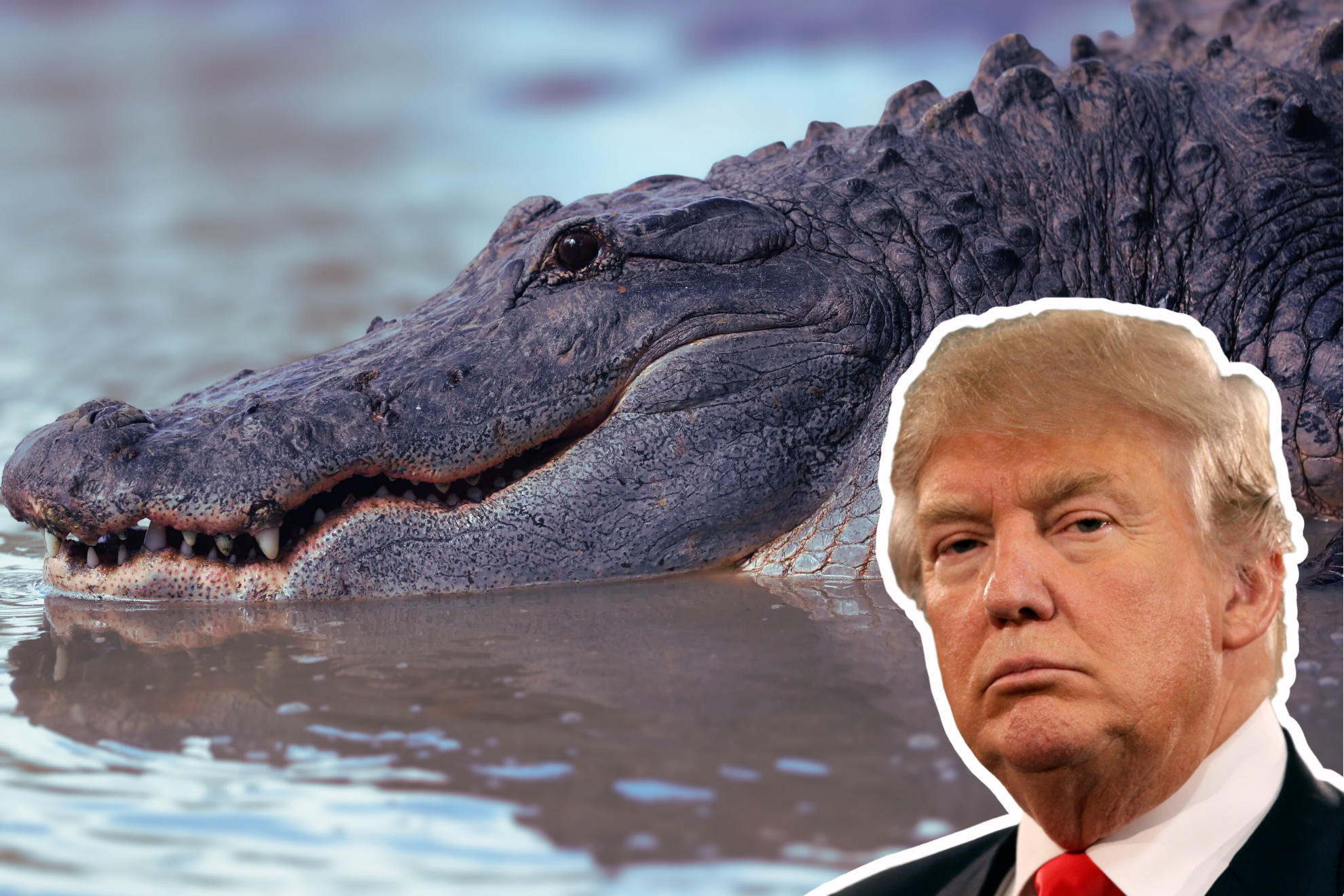 La apertura de Alligator Alcatraz ha sido duramente criticada por organizaciones ambientalistas, defensores de los derechos humanos.