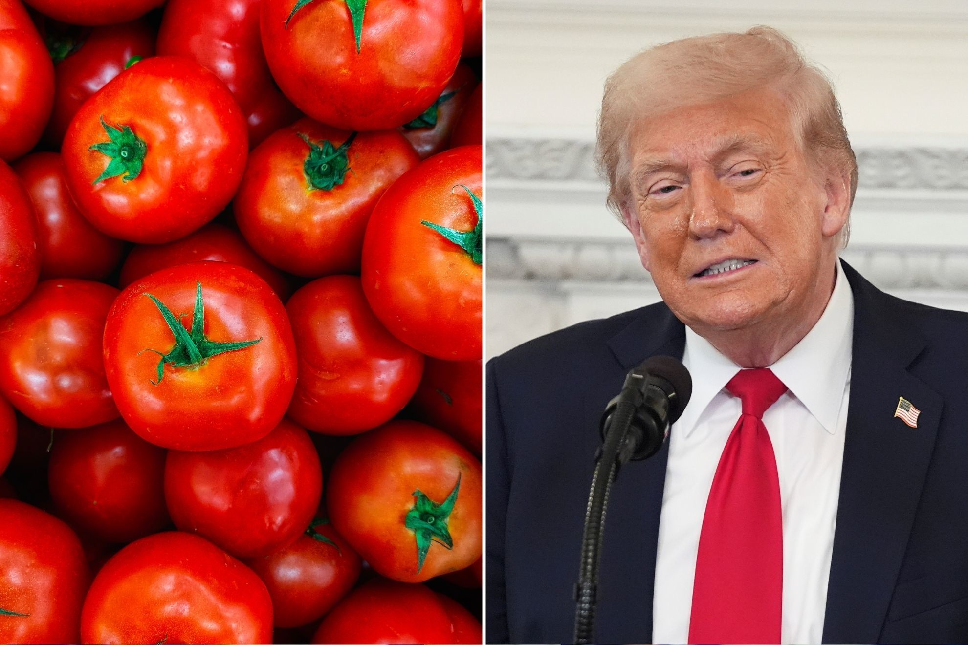 Trump impone arancel del 17% al jitomate mexicano