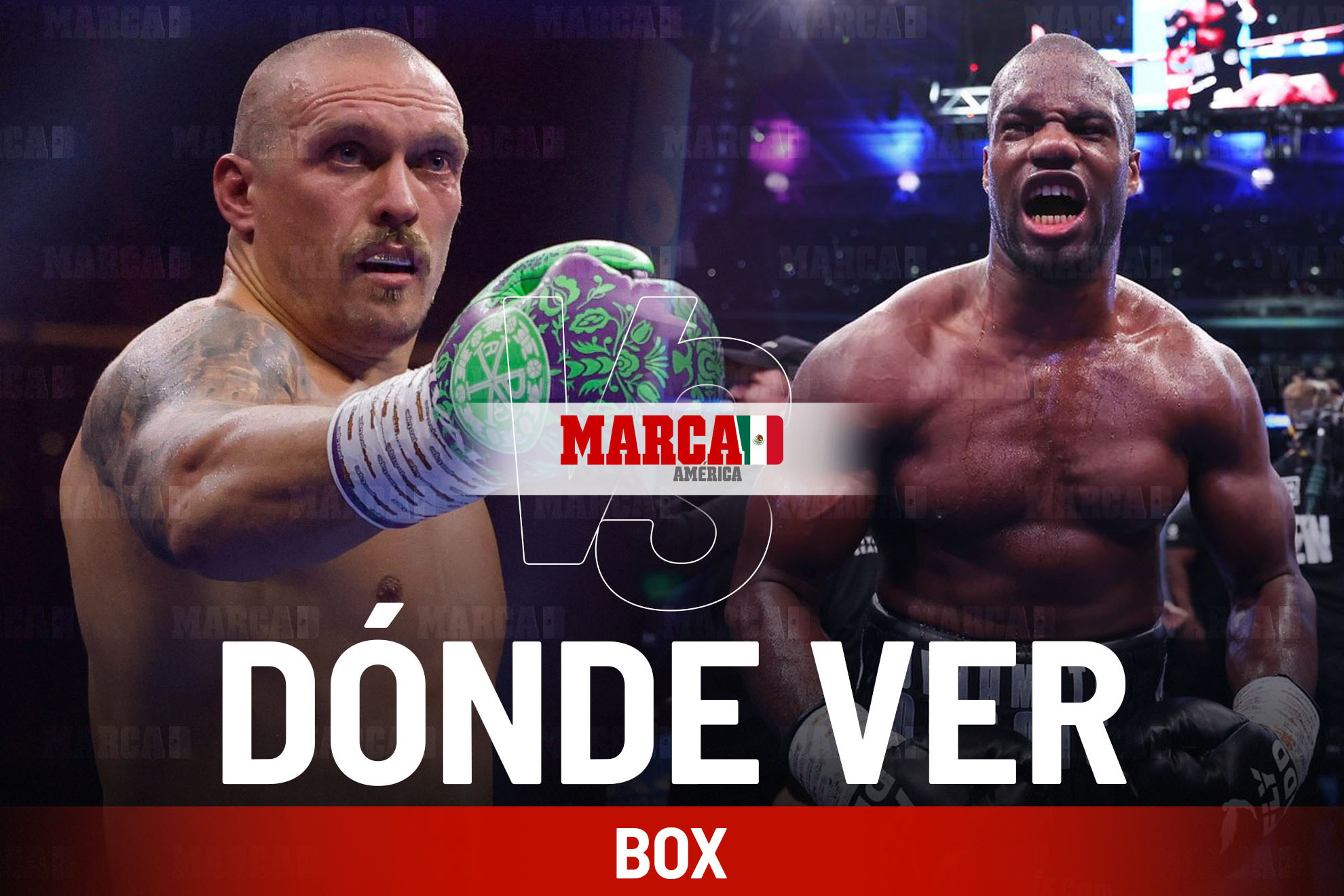 Usyk vs Dubois 2: d�nde ver en M�xico, a qu� hora pelean y cartelera de box 19 de julio 2025