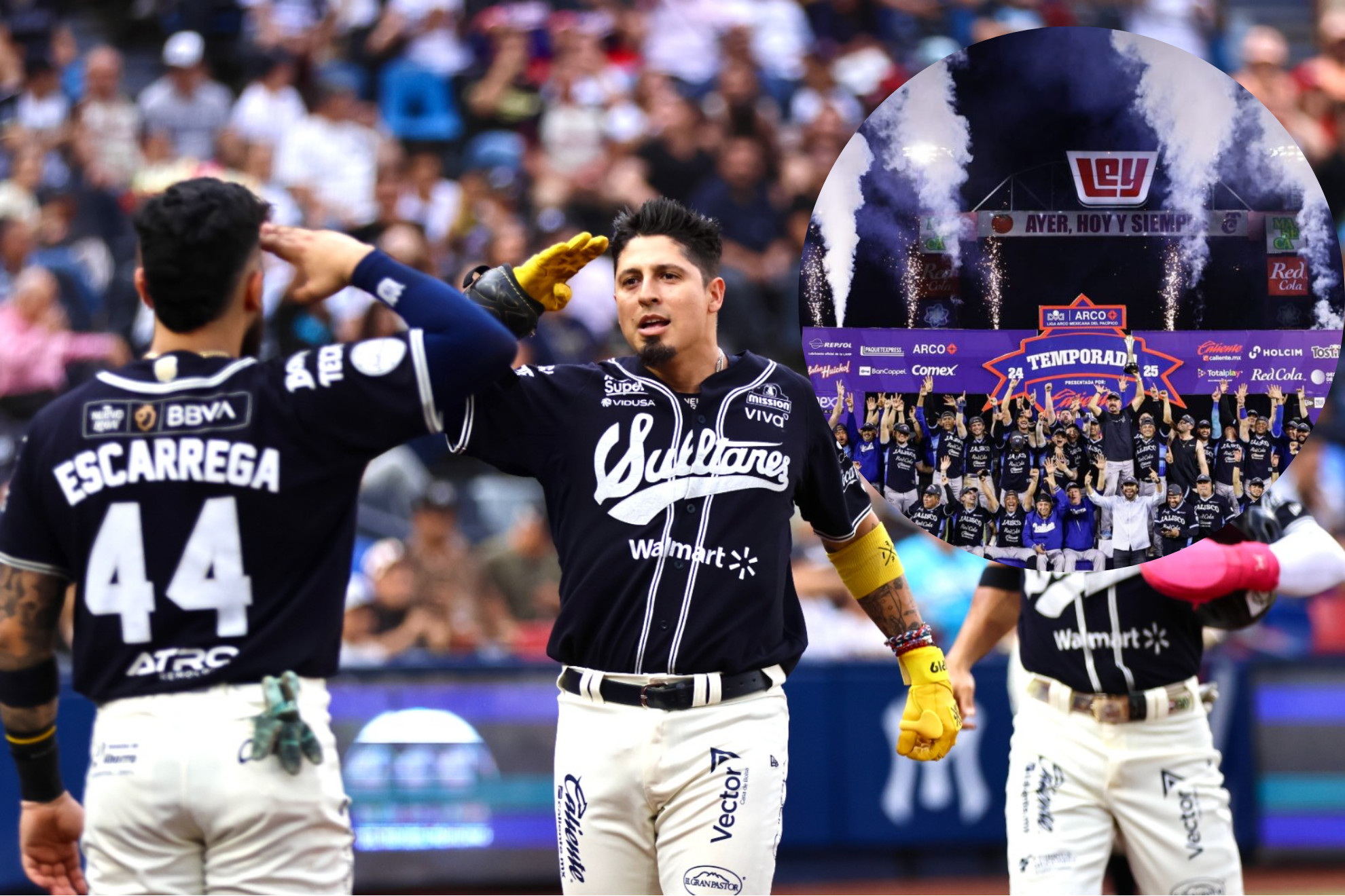 �Cu�ntos campeonatos de Zona tienen los Sultanes de Monterrey? Todos los t�tulos de zona de los Regios
