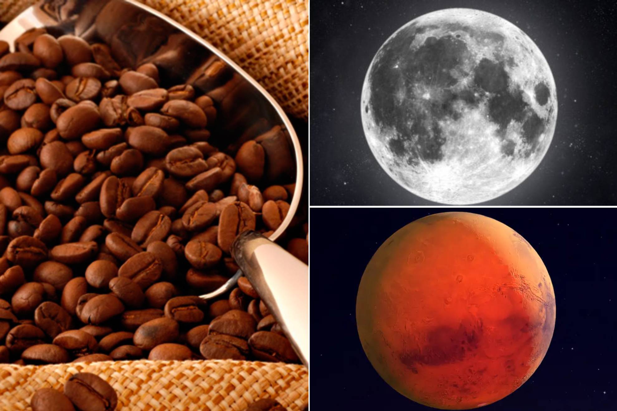 El Caf� de Veracruz, �m�s all� de la Tierra? |