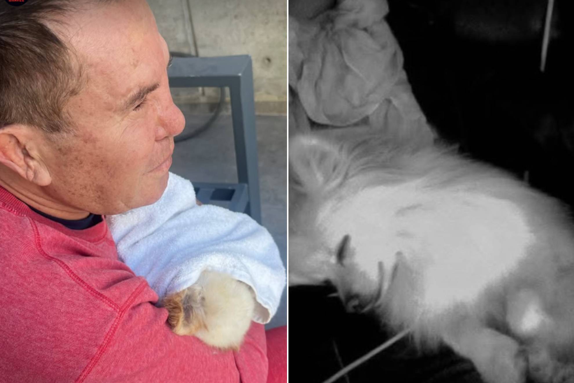 Julio C�sar Ch�vez / Camilo |