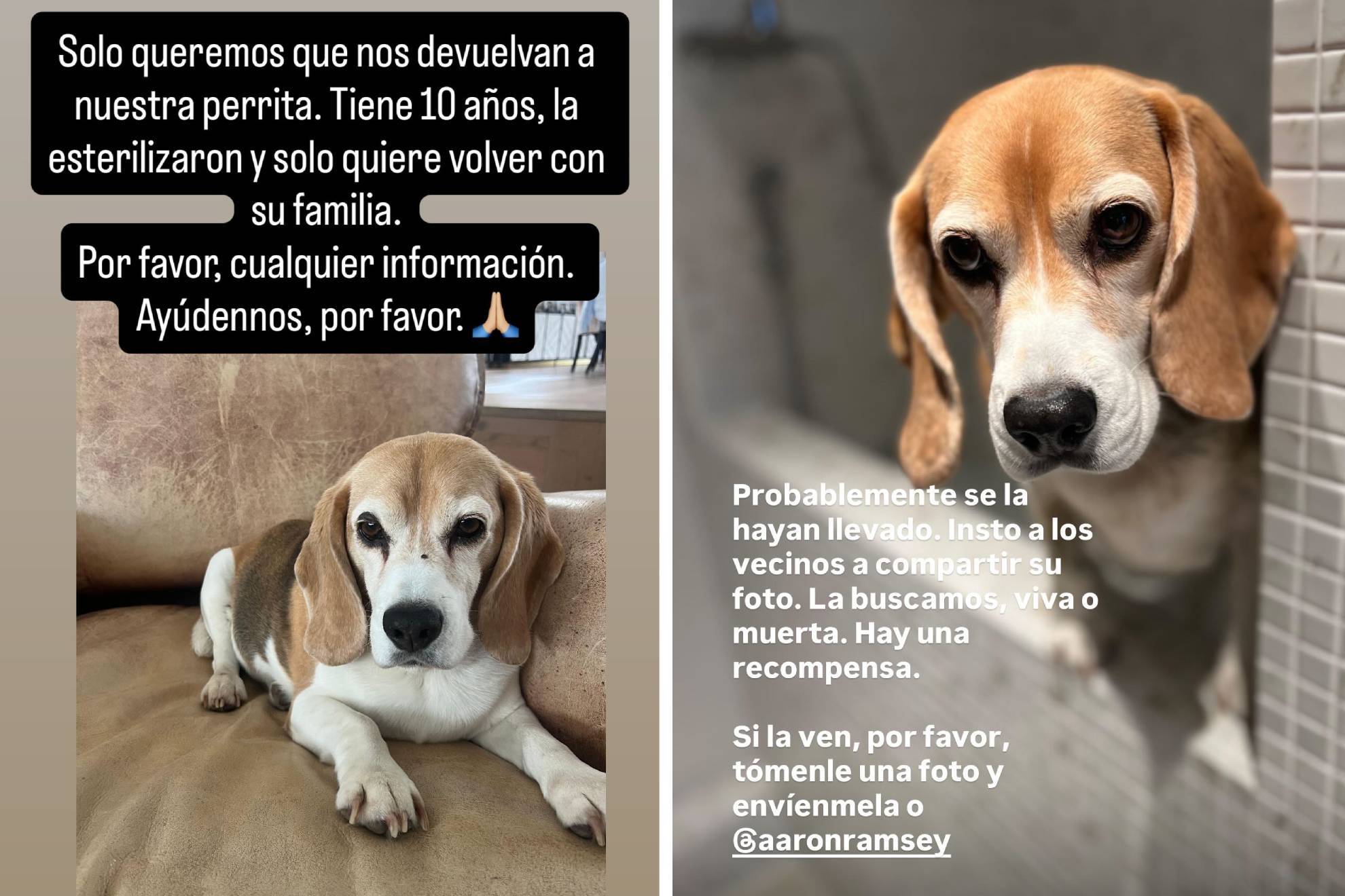 Los mensajes de Aaron Ramsey y su esposa para dar con 'Halo'