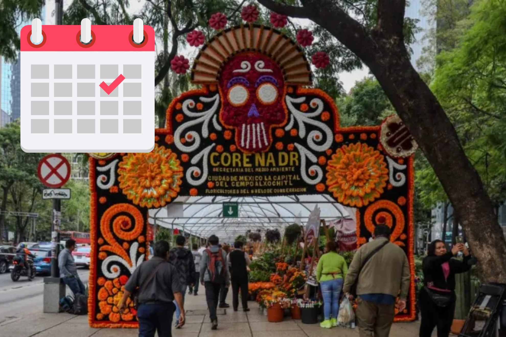 Festival de Cempas�chil 2025: Hasta cu�ndo estar�, horarios y actividades en Paseo de la Reforma