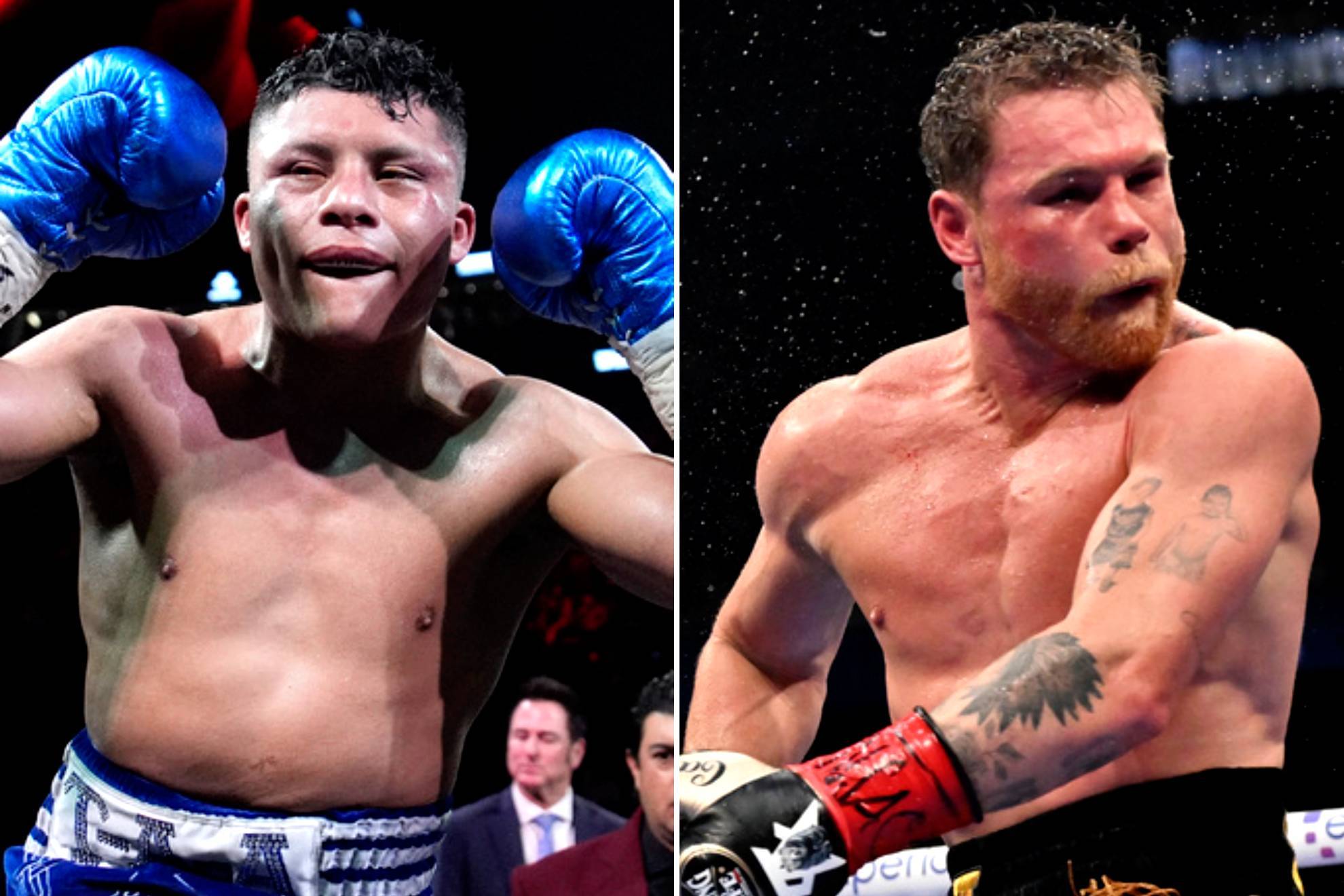 Isaac Pitbull Cruz / Sa�l Canelo �lvarez