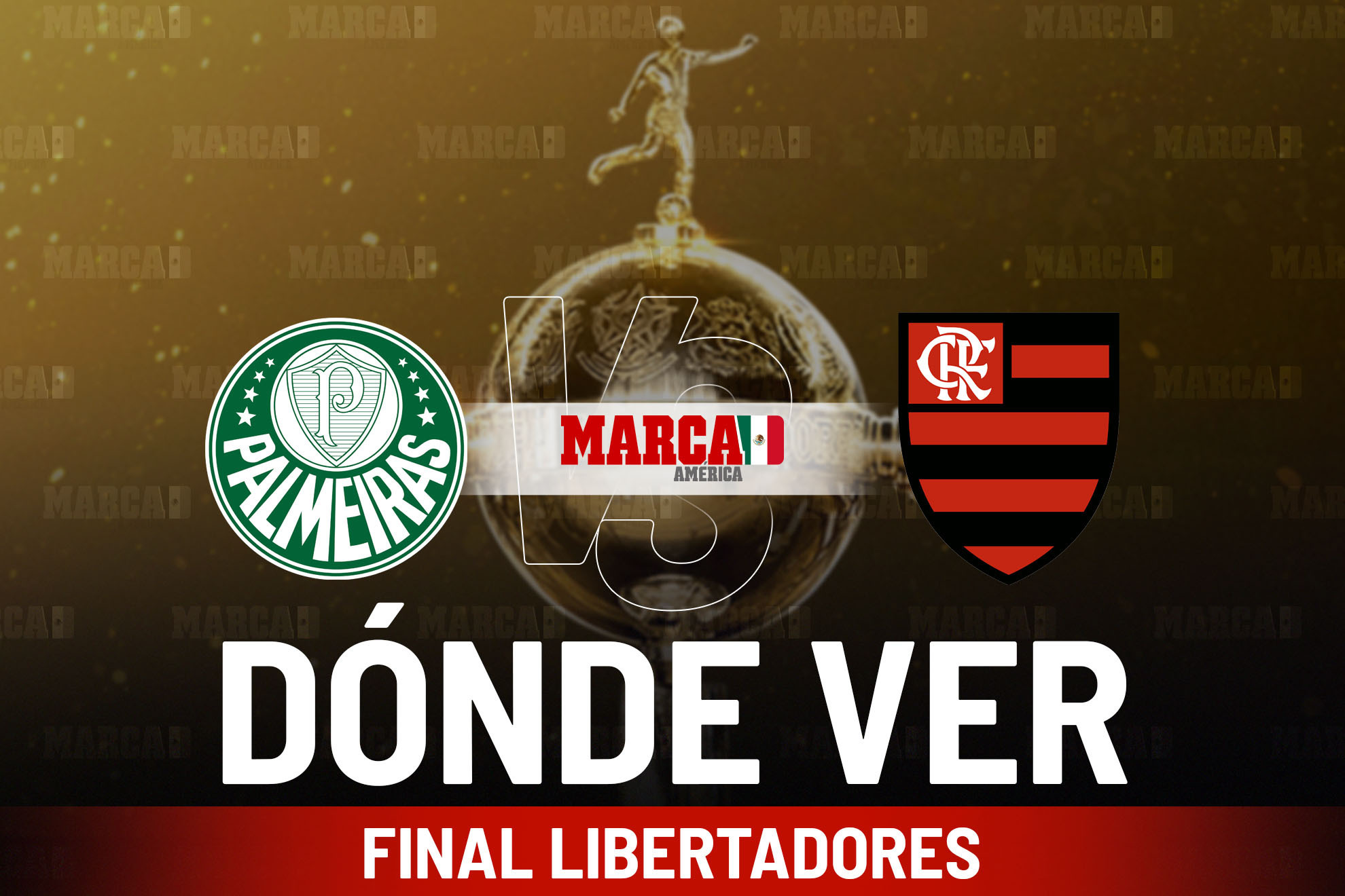 Palmeiras vs Flamengo: D�nde ver la final de la Copa Libertadores 2025, canal, horario en M�xico