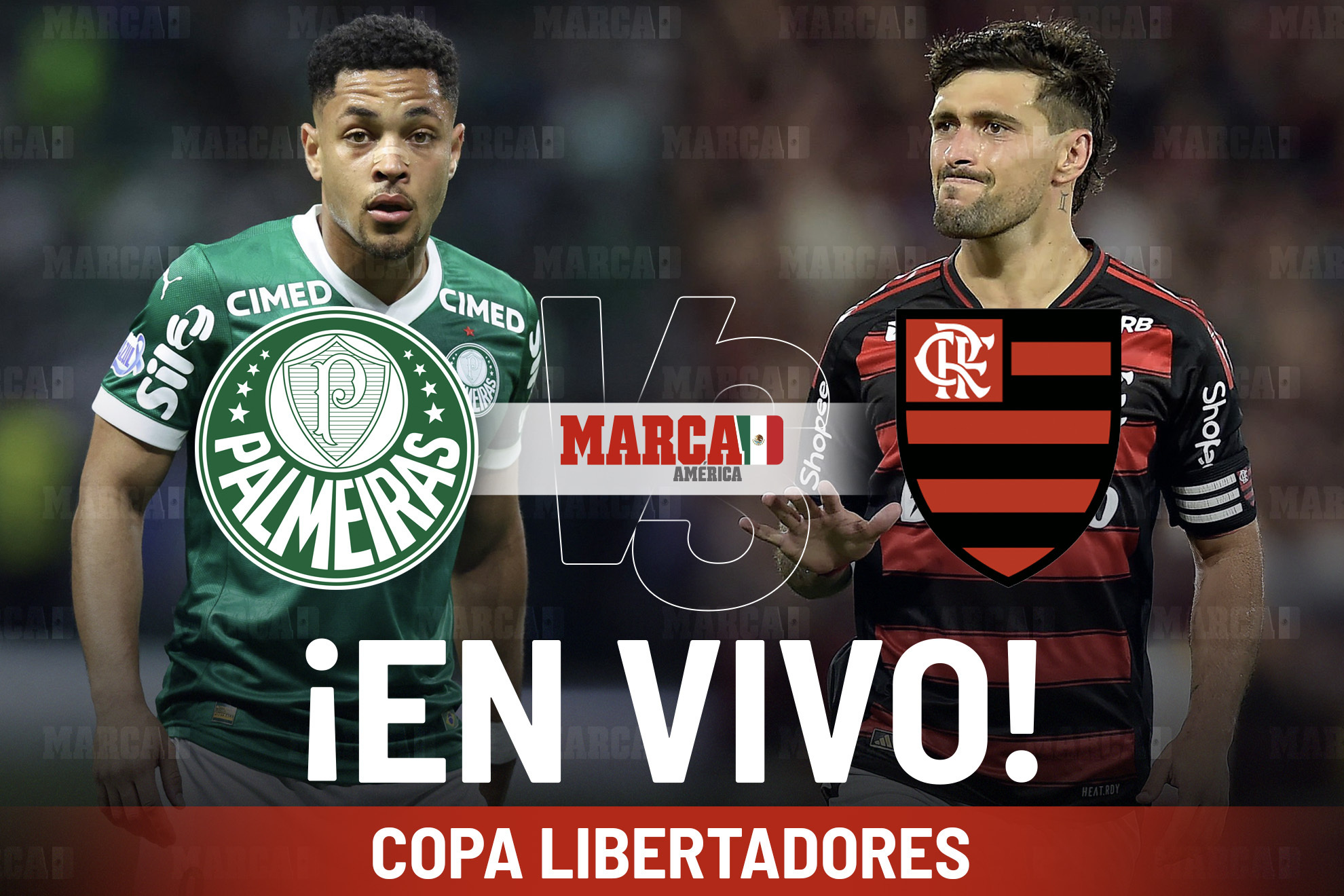 Palmeiras vs Flamengo EN VIVO Online. Partido Hoy de la Final de la Copa Libertadores 2025