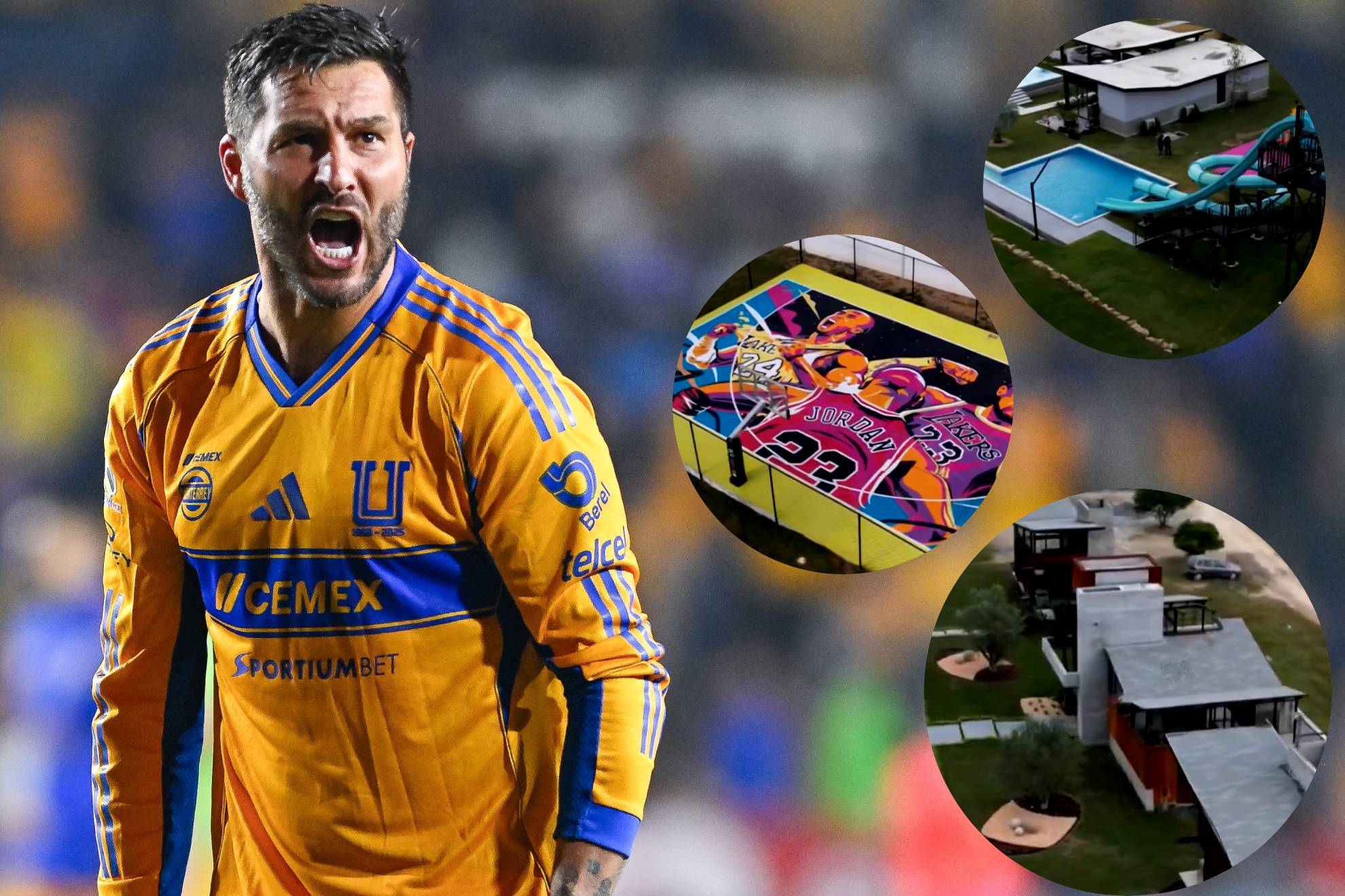 Andr�-Pierre Gignac |