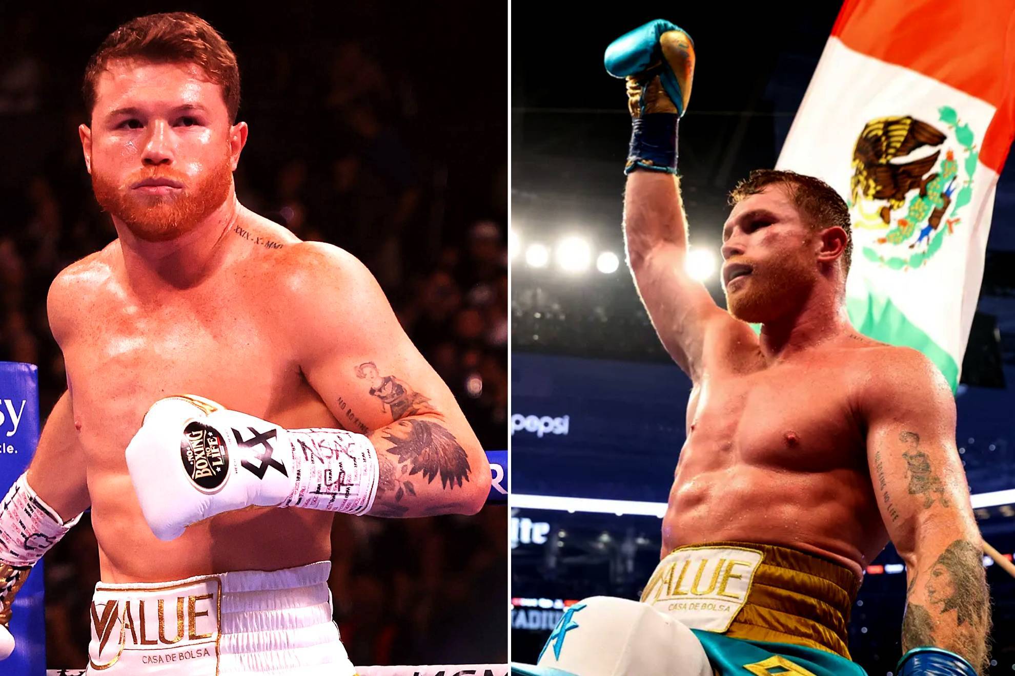 Sa�l Canelo �lvarez |