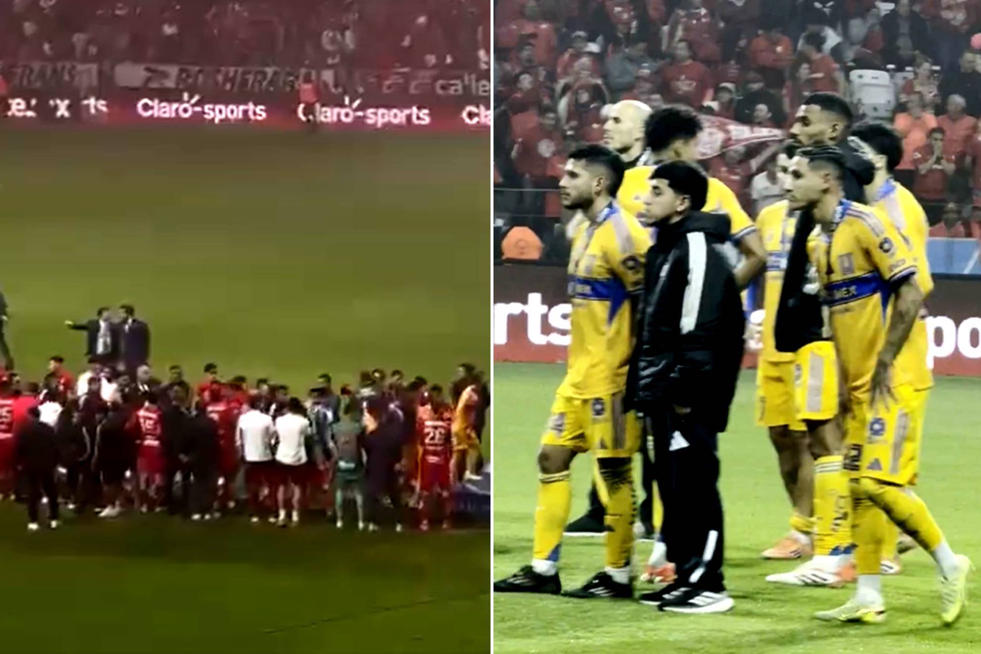 Paseillo del campe�n de Toluca a Tigres |