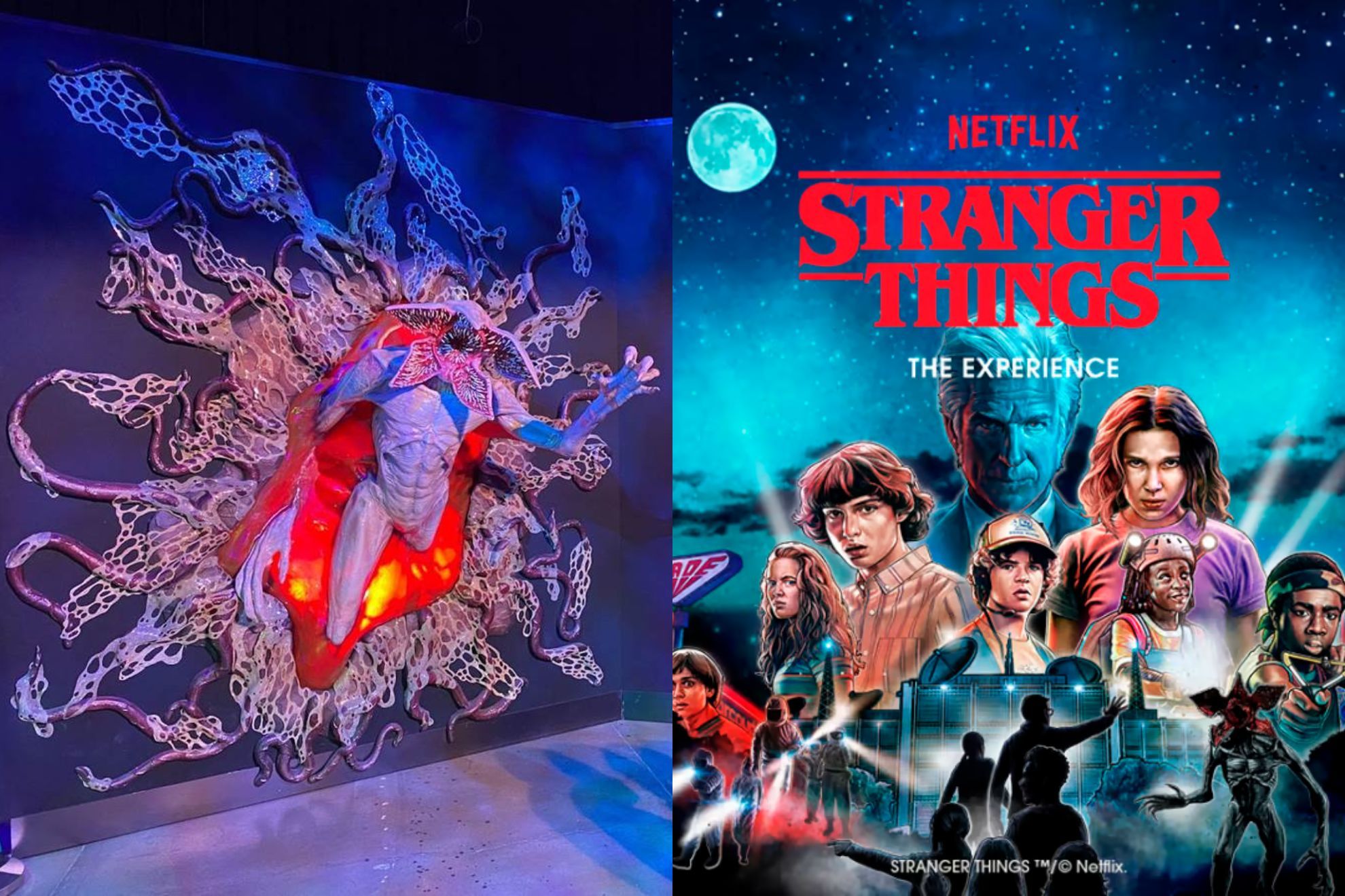 �Cu�nto cuestan los boletos para Stranger Things The Experience en CDMX y d�nde comprarlos?